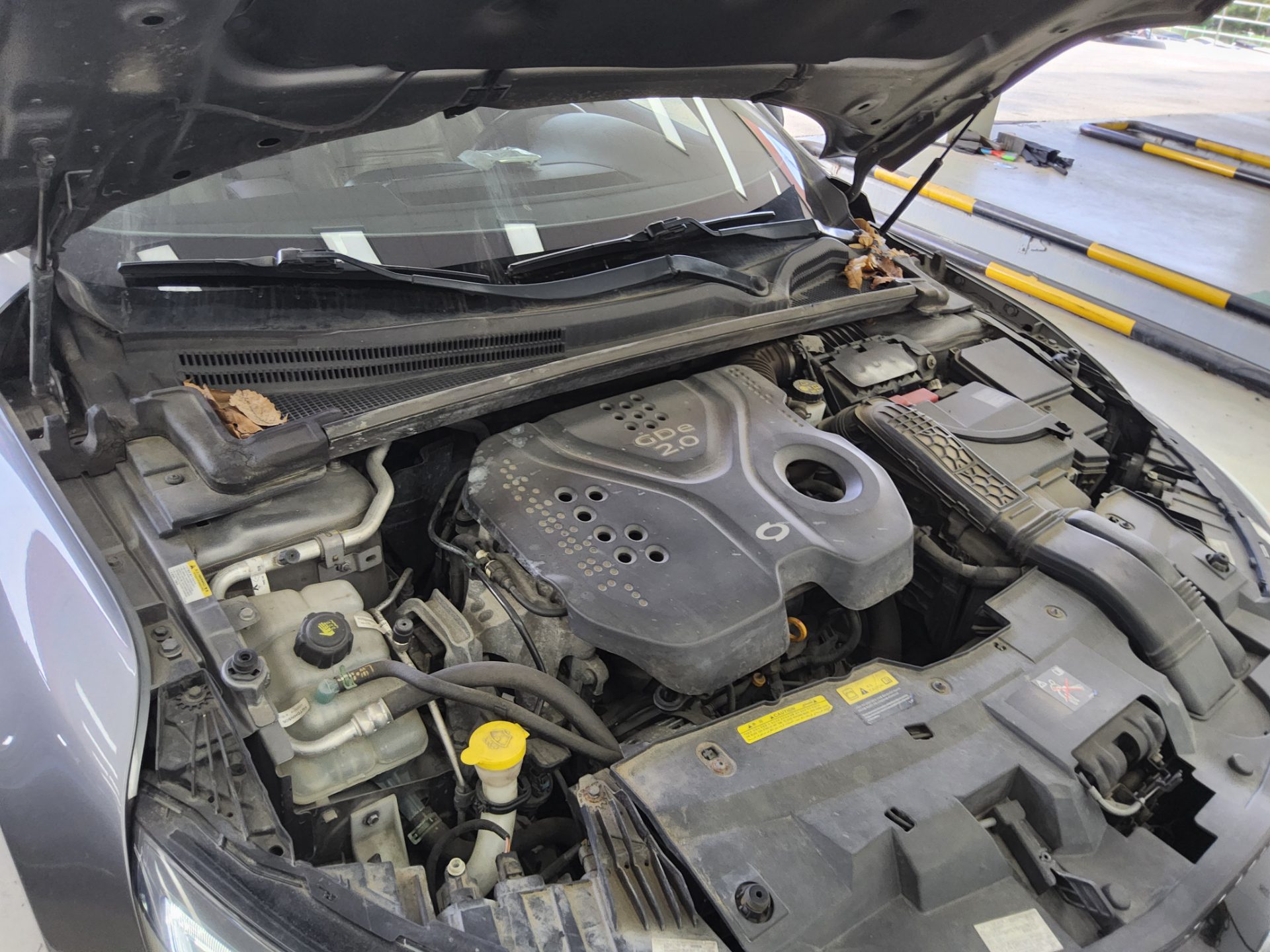 Renault Samsung SM6 2016 - Image 18