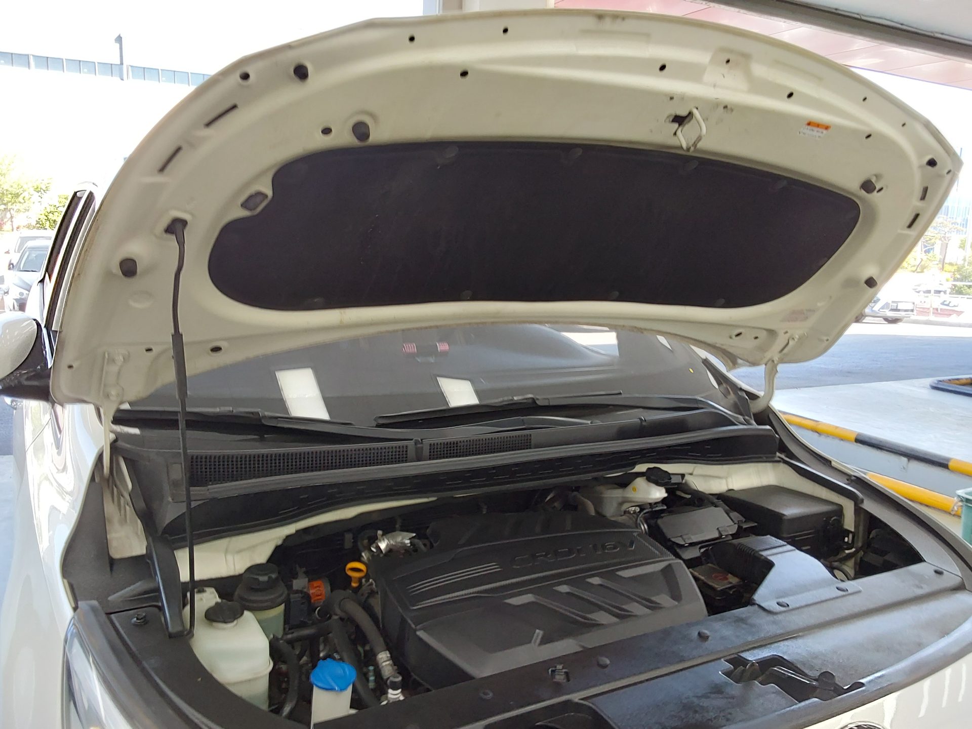 كيا أخرى 2019 - صورة 19