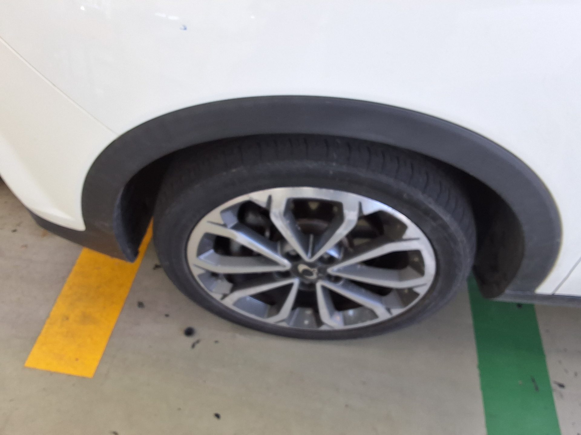 سانج يونج تيفولي 2018 - صورة 17