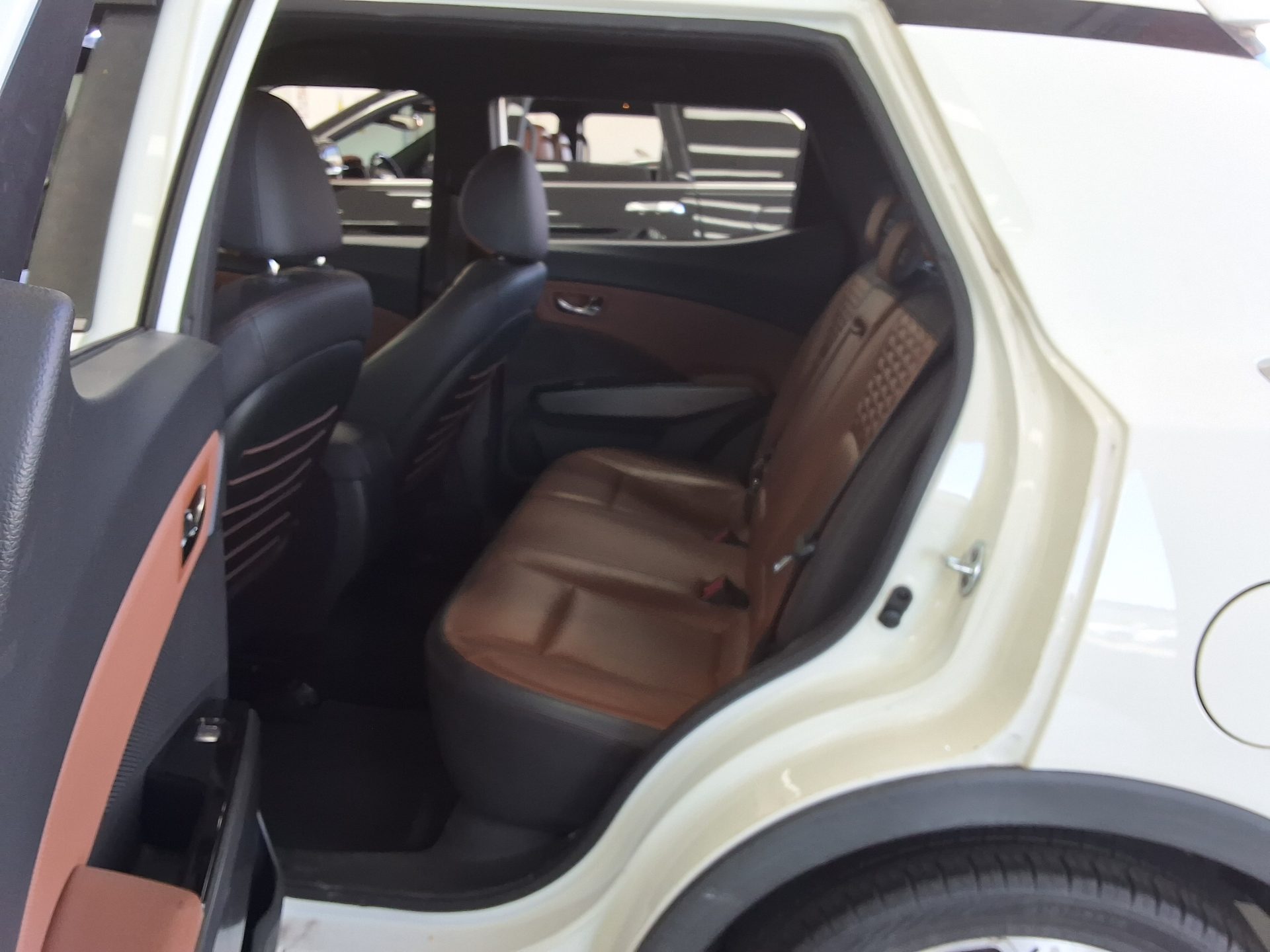 سانج يونج تيفولي 2018 - صورة 11