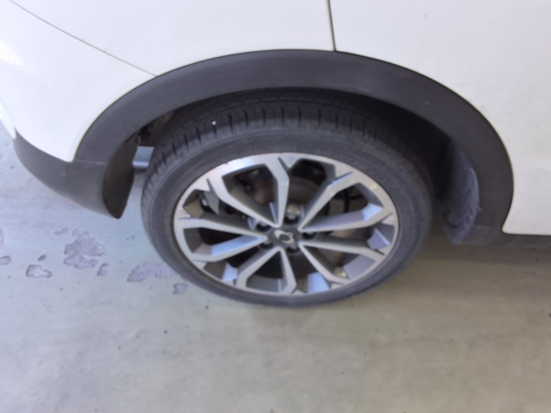 سانج يونج تيفولي 2018 - صورة 20