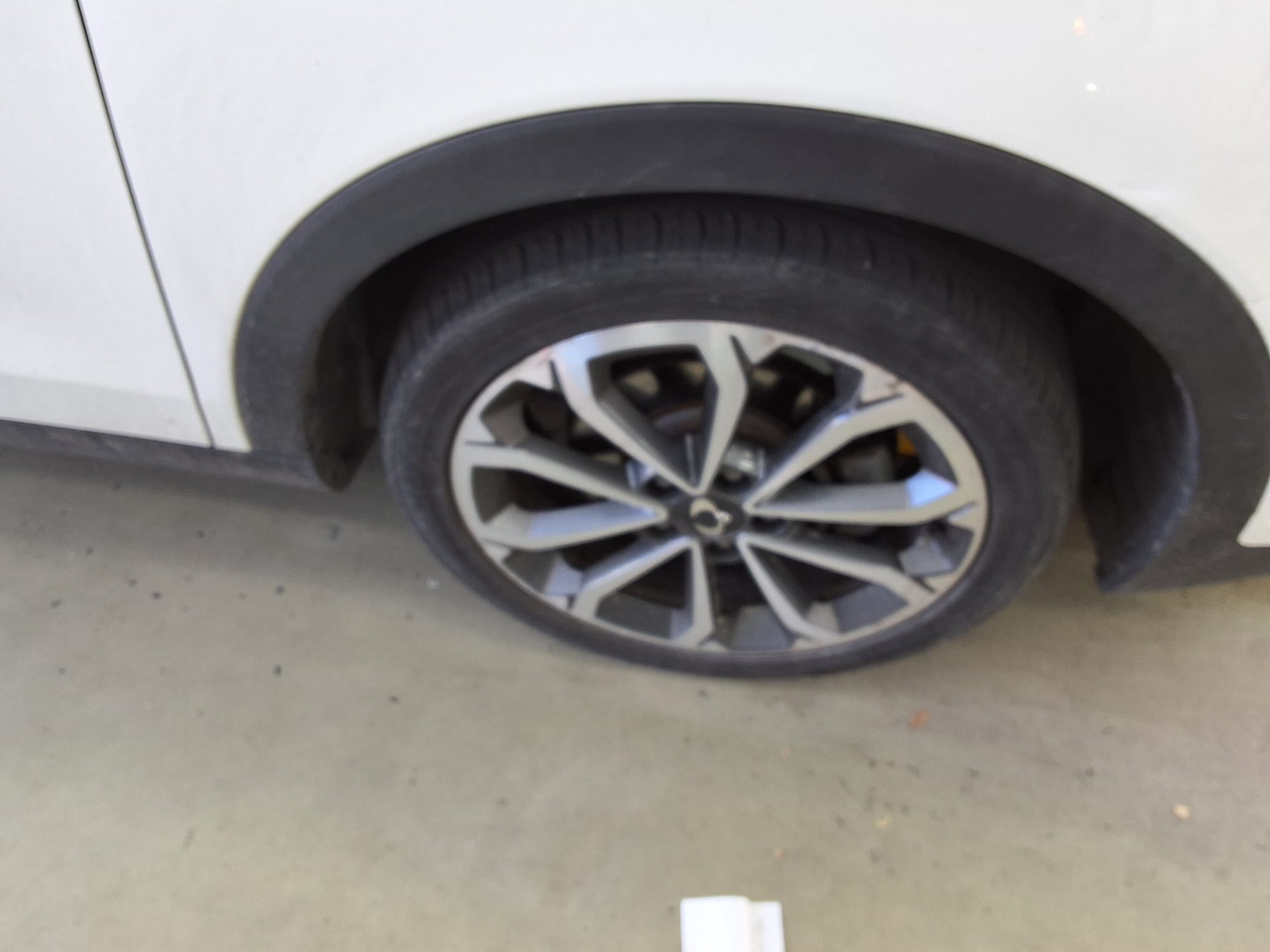 سانج يونج تيفولي 2018 - صورة 19