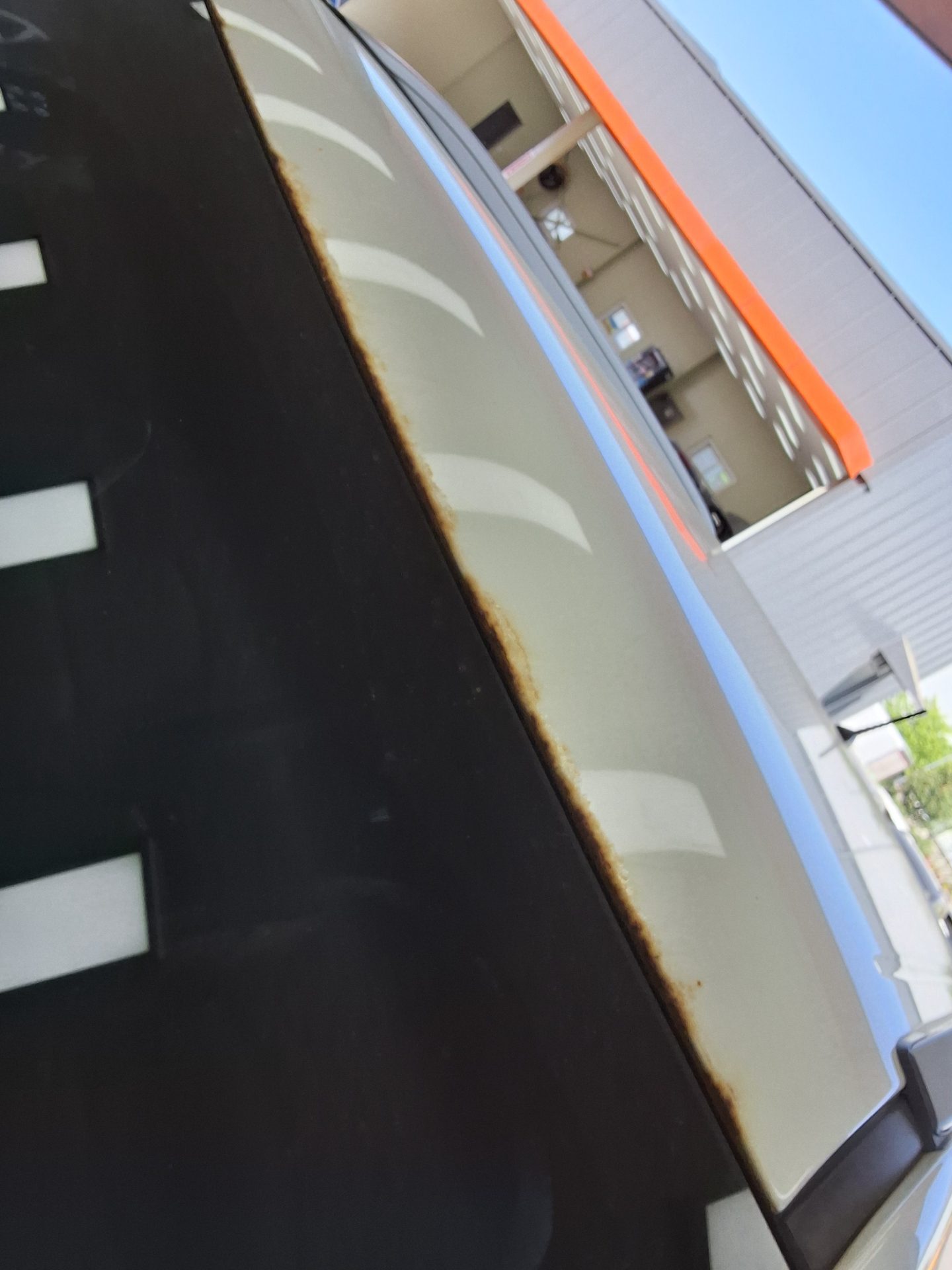 سانج يونج تيفولي 2018 - صورة 16