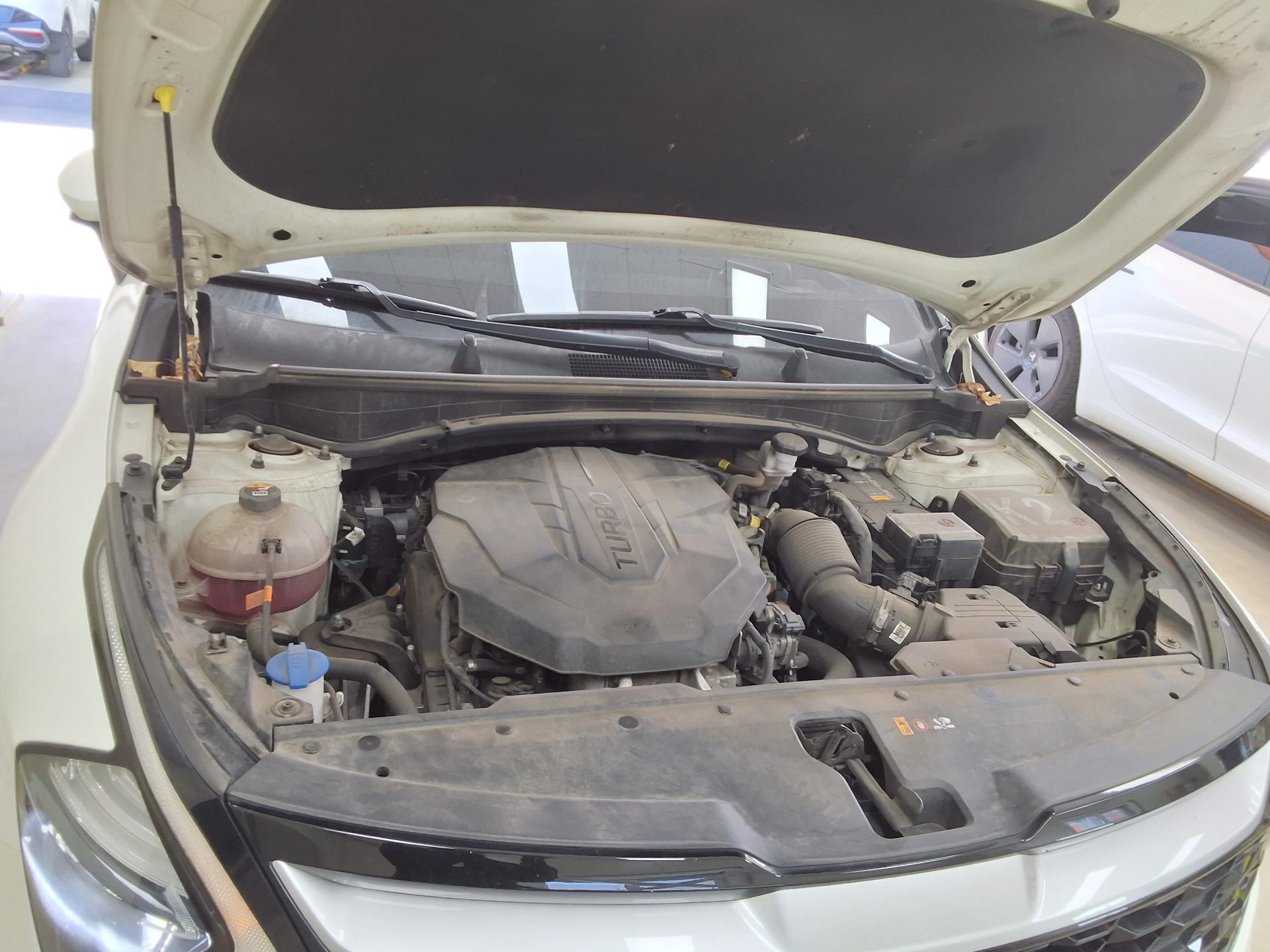 Kia Other 2022 - Image 19