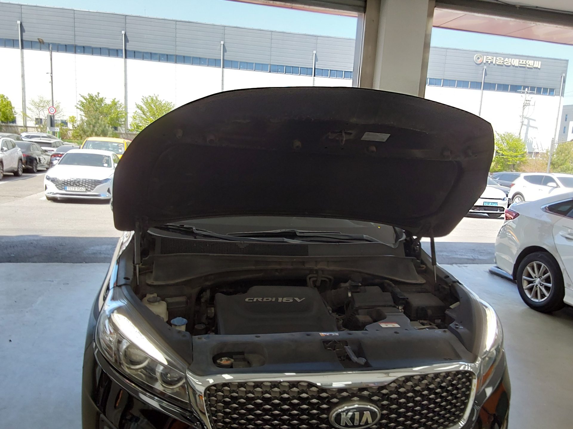 كيا أخرى 2016 - صورة 20