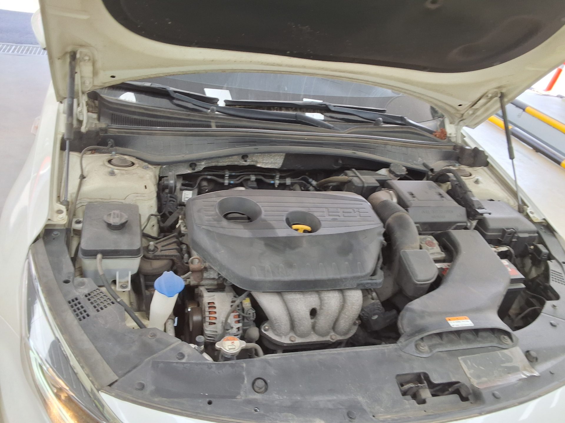 كيا أخرى 2020 - صورة 19