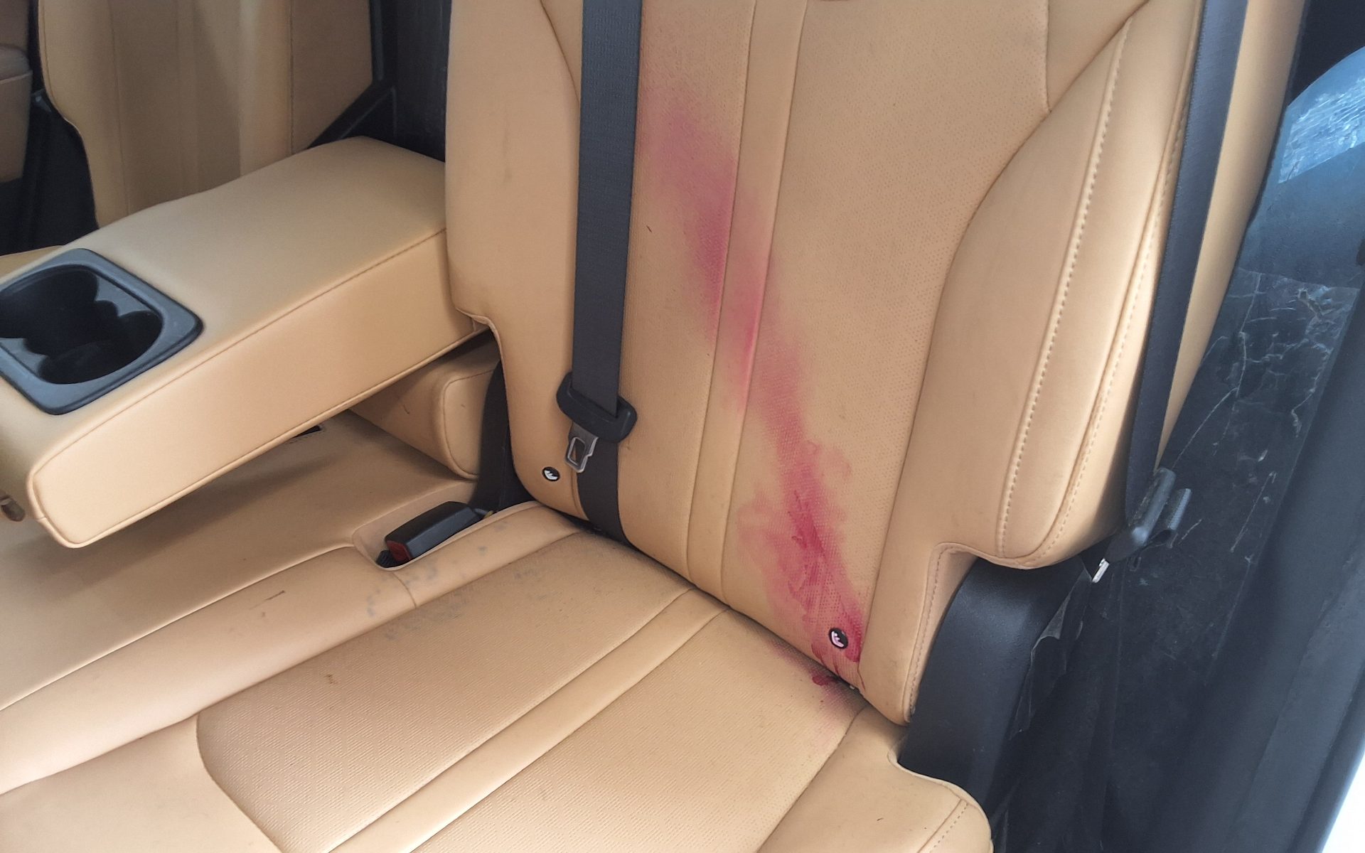 Kia Other 2022 - Image 20