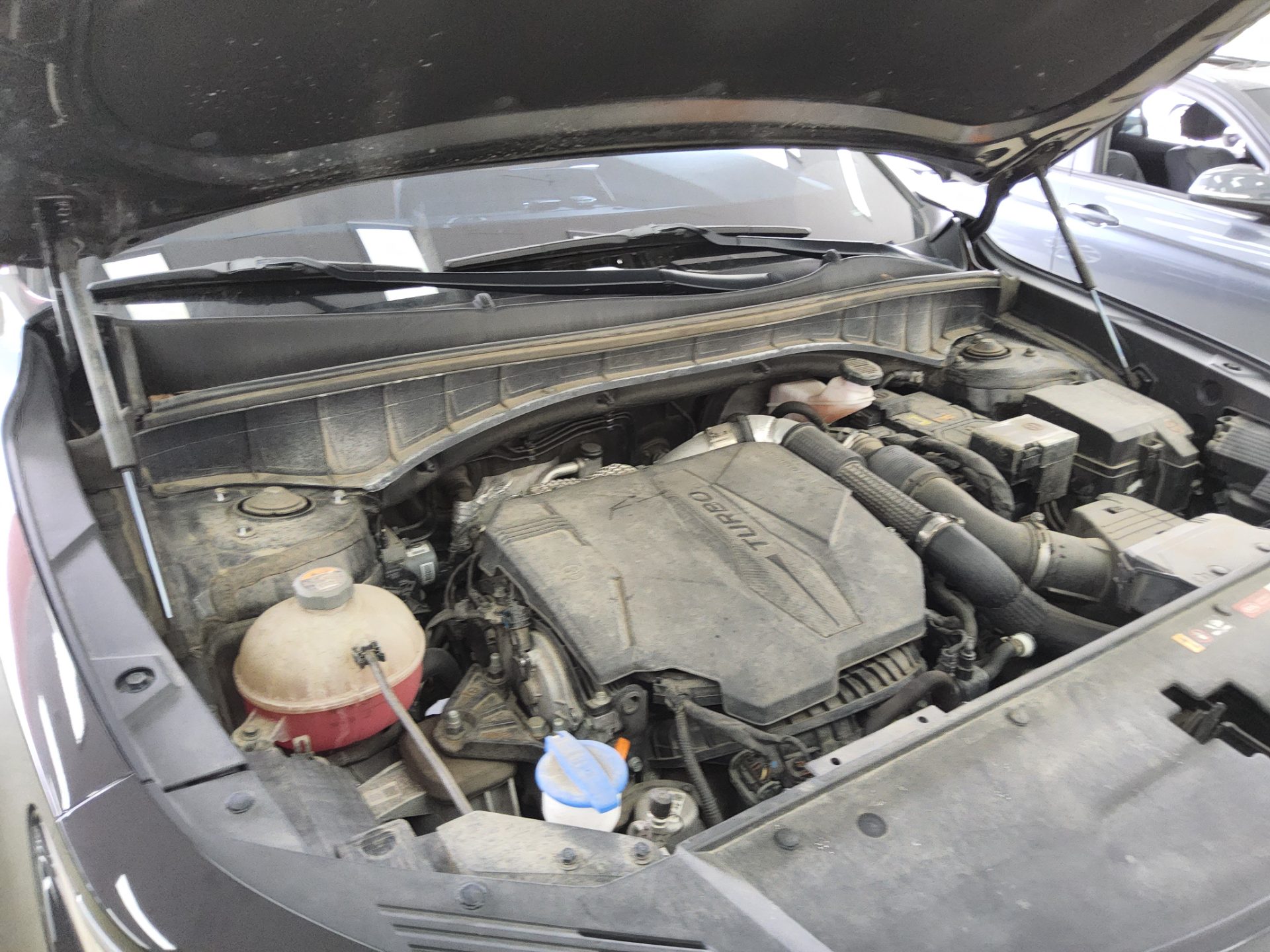 كيا أخرى 2021 - صورة 17