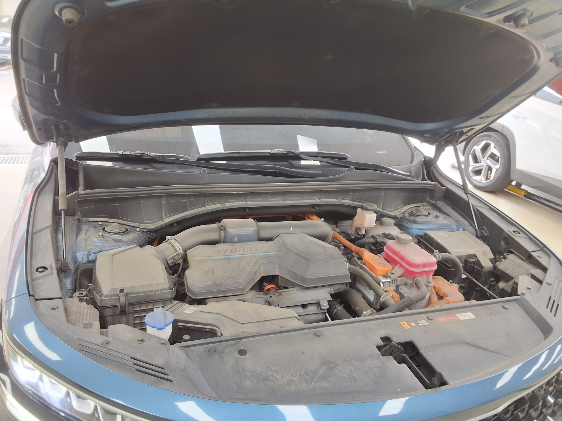 كيا أخرى 2021 - صورة 19