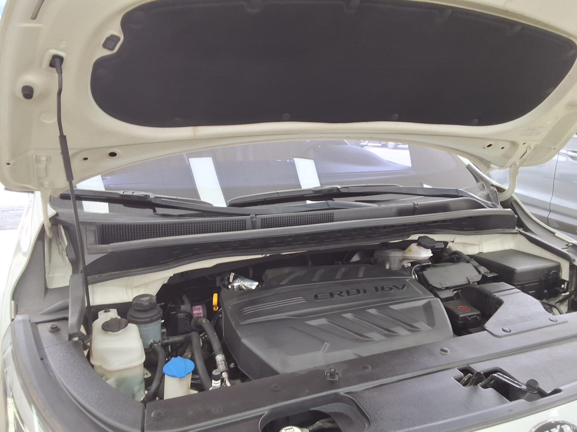 كيا أخرى 2019 - صورة 17