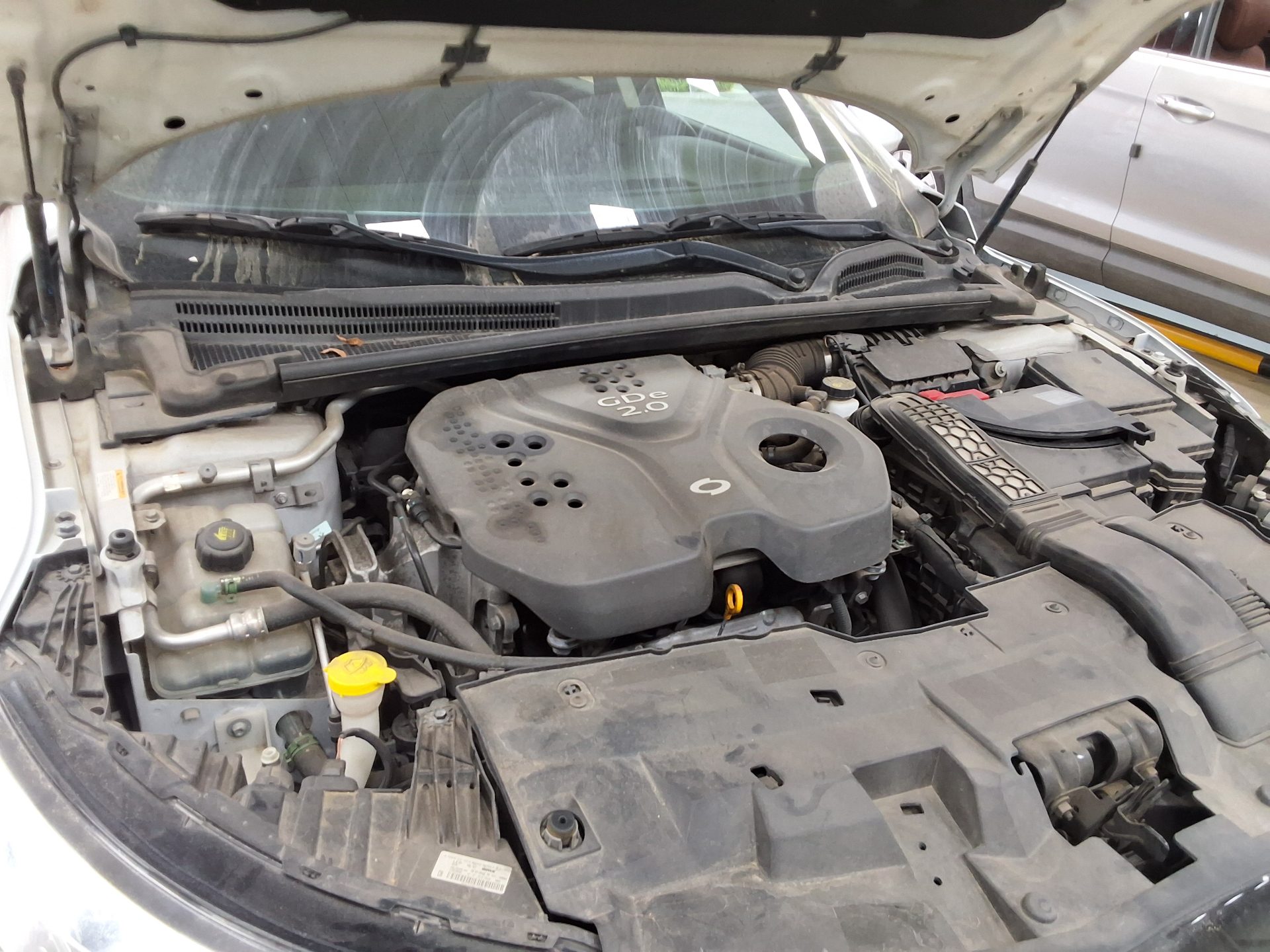 رينو سامسونج SM6 2019 - صورة 18