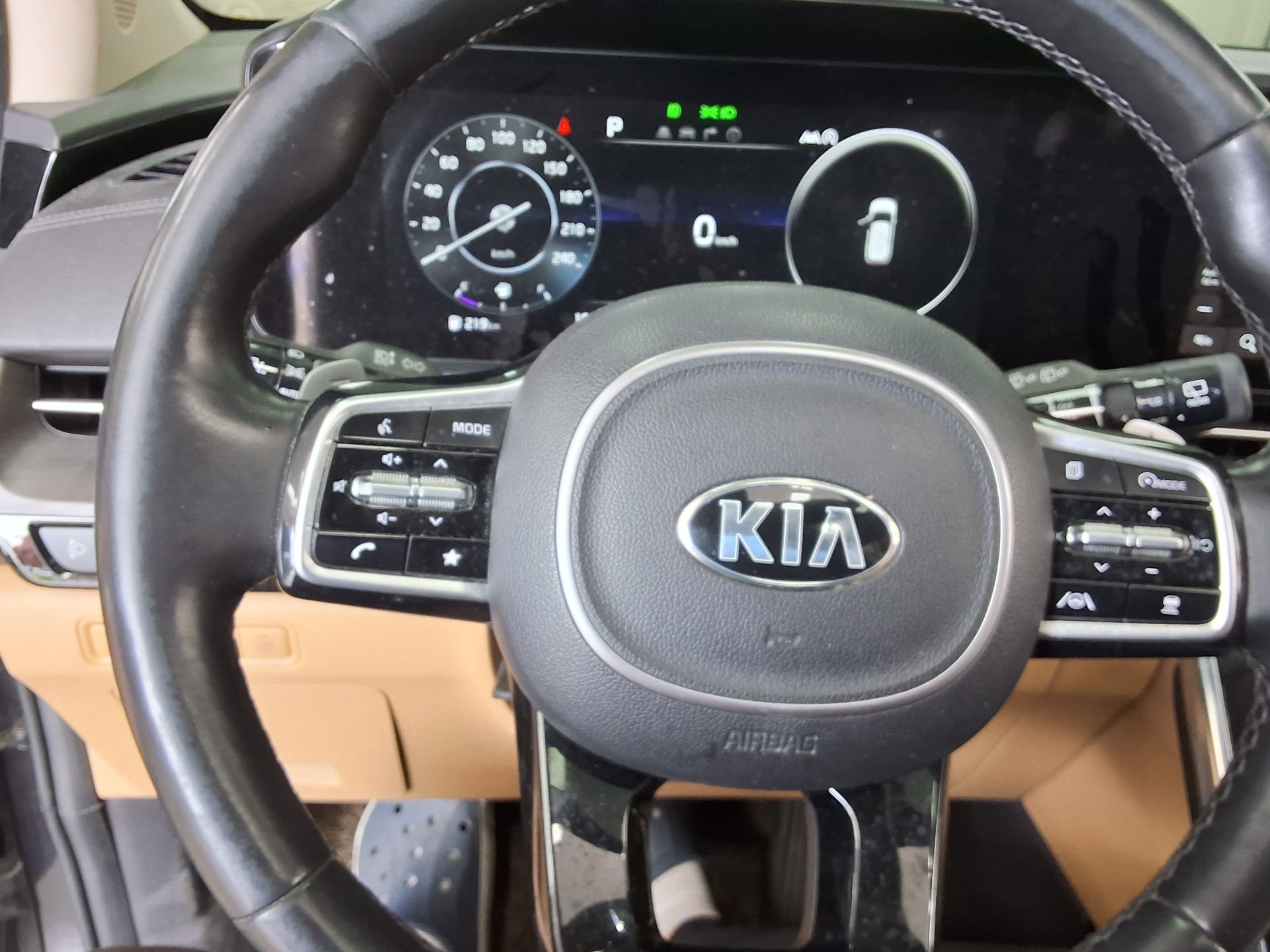Kia Carnival - 17