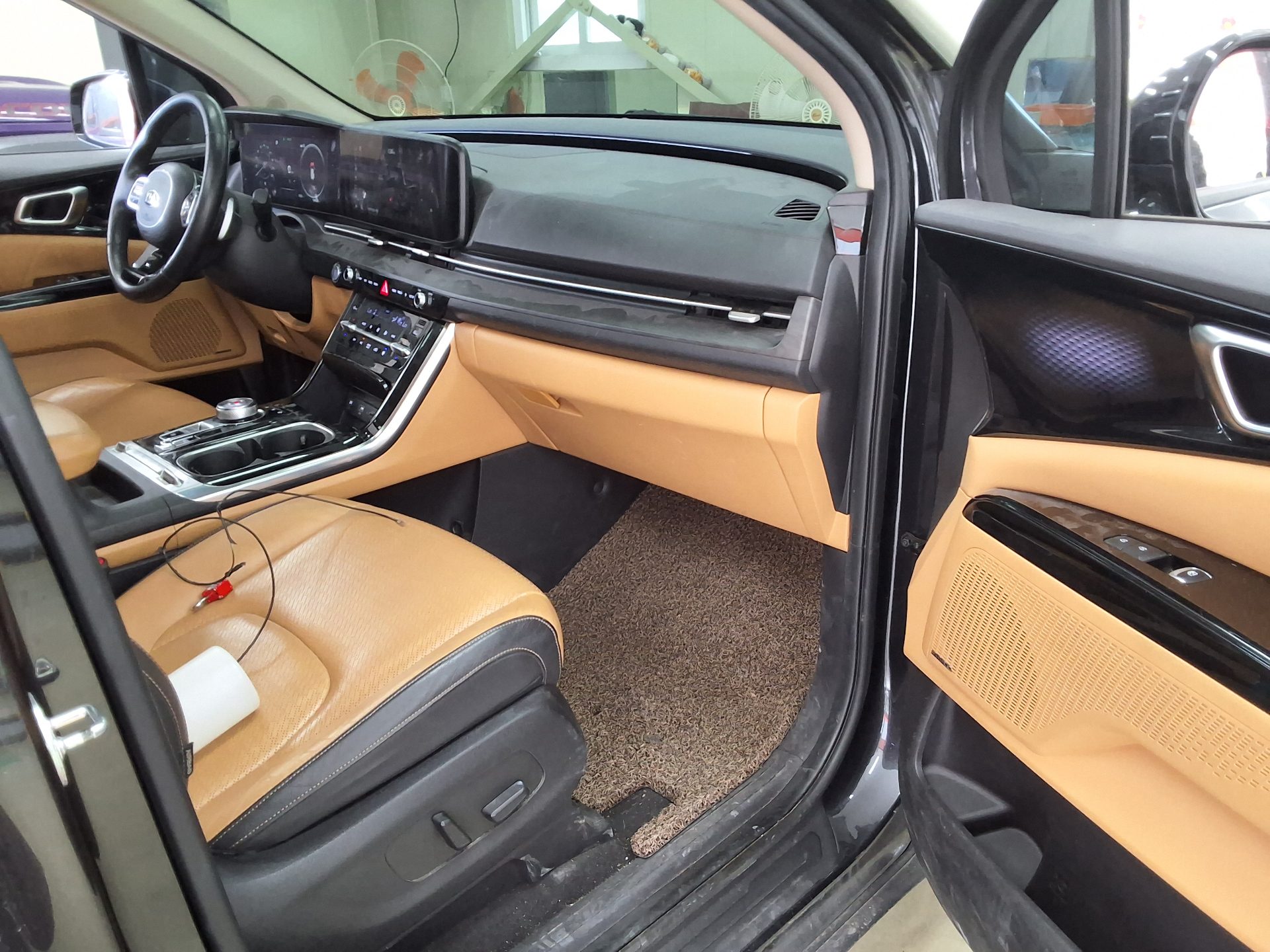 Kia Carnival - 13