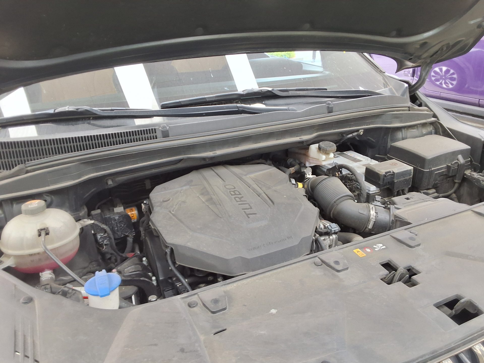 Kia Carnival - 18