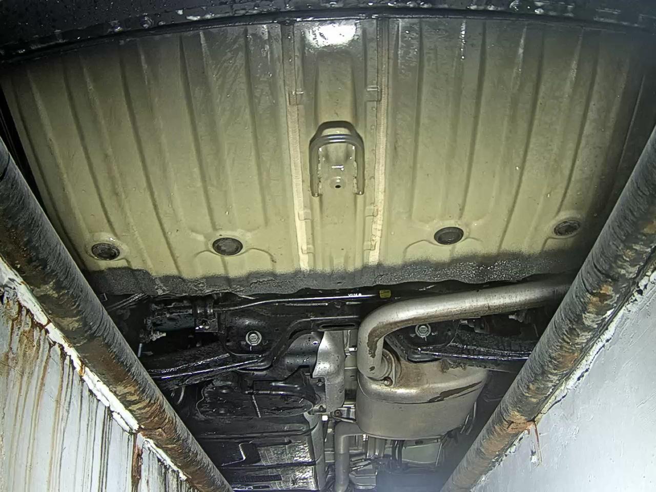Kia Carnival - 7