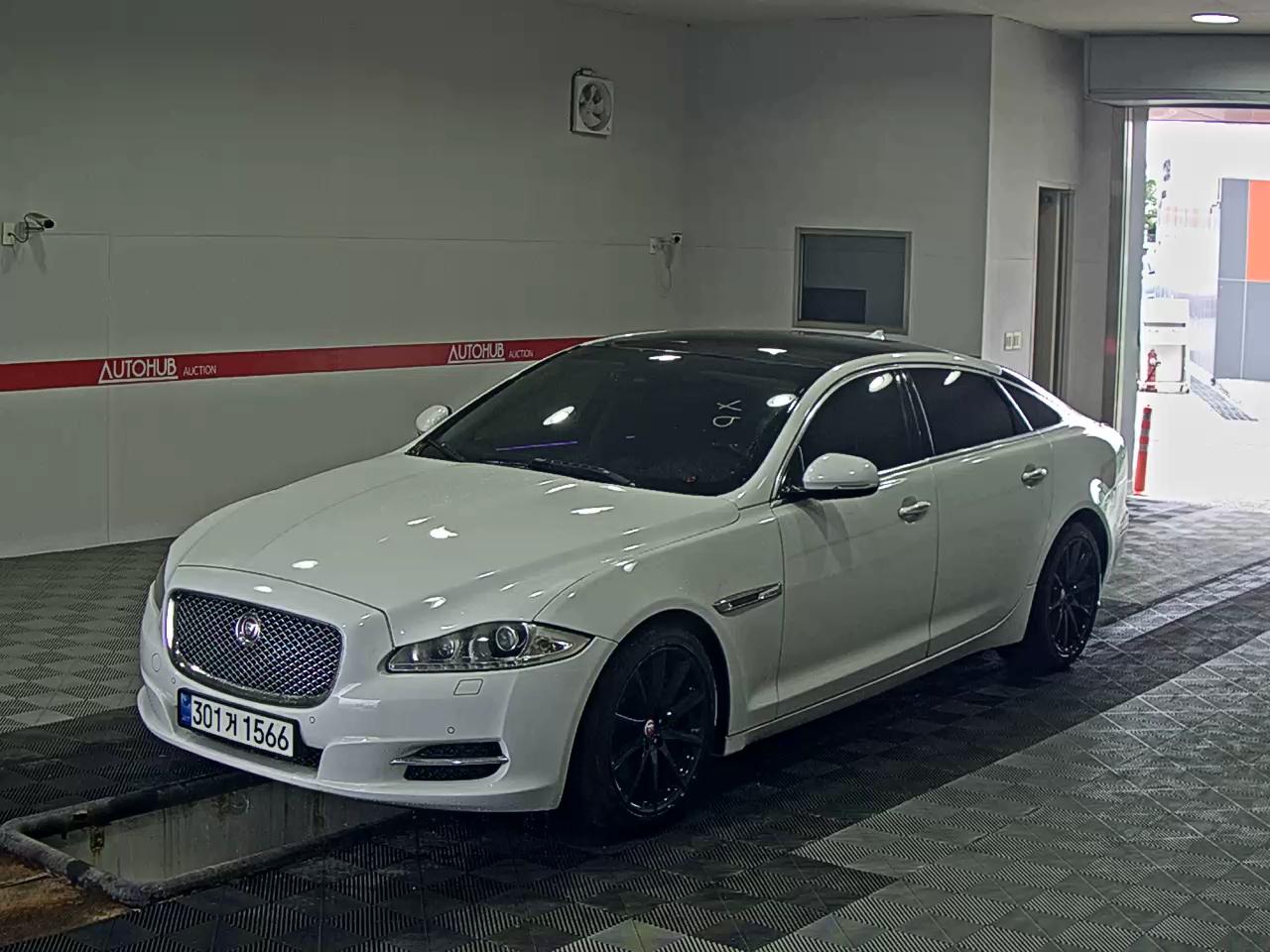 Jaguar Jaguar