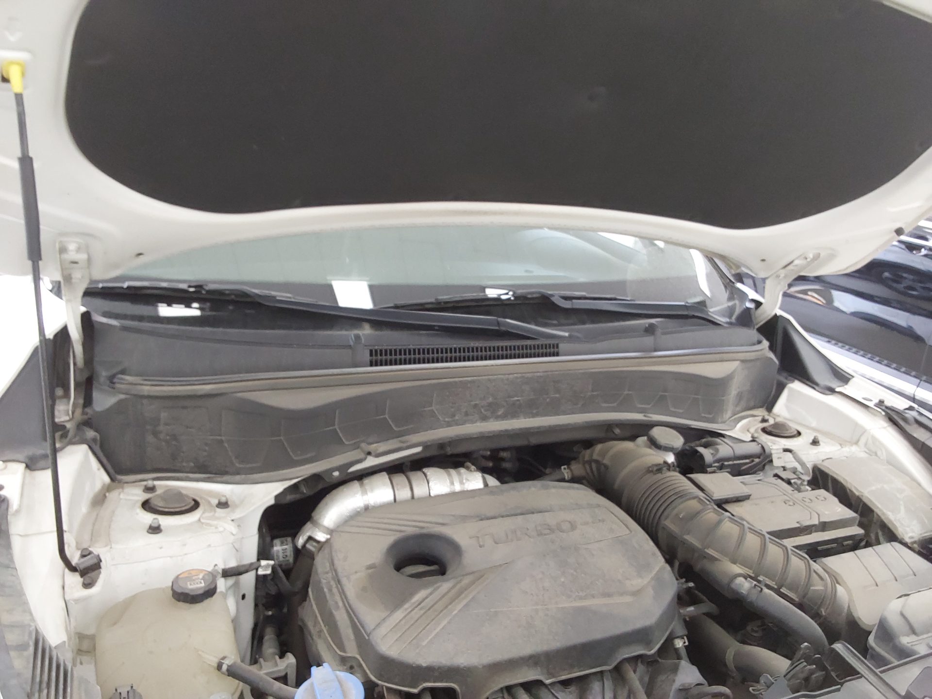 Kia Seltos 2020 - Image 18