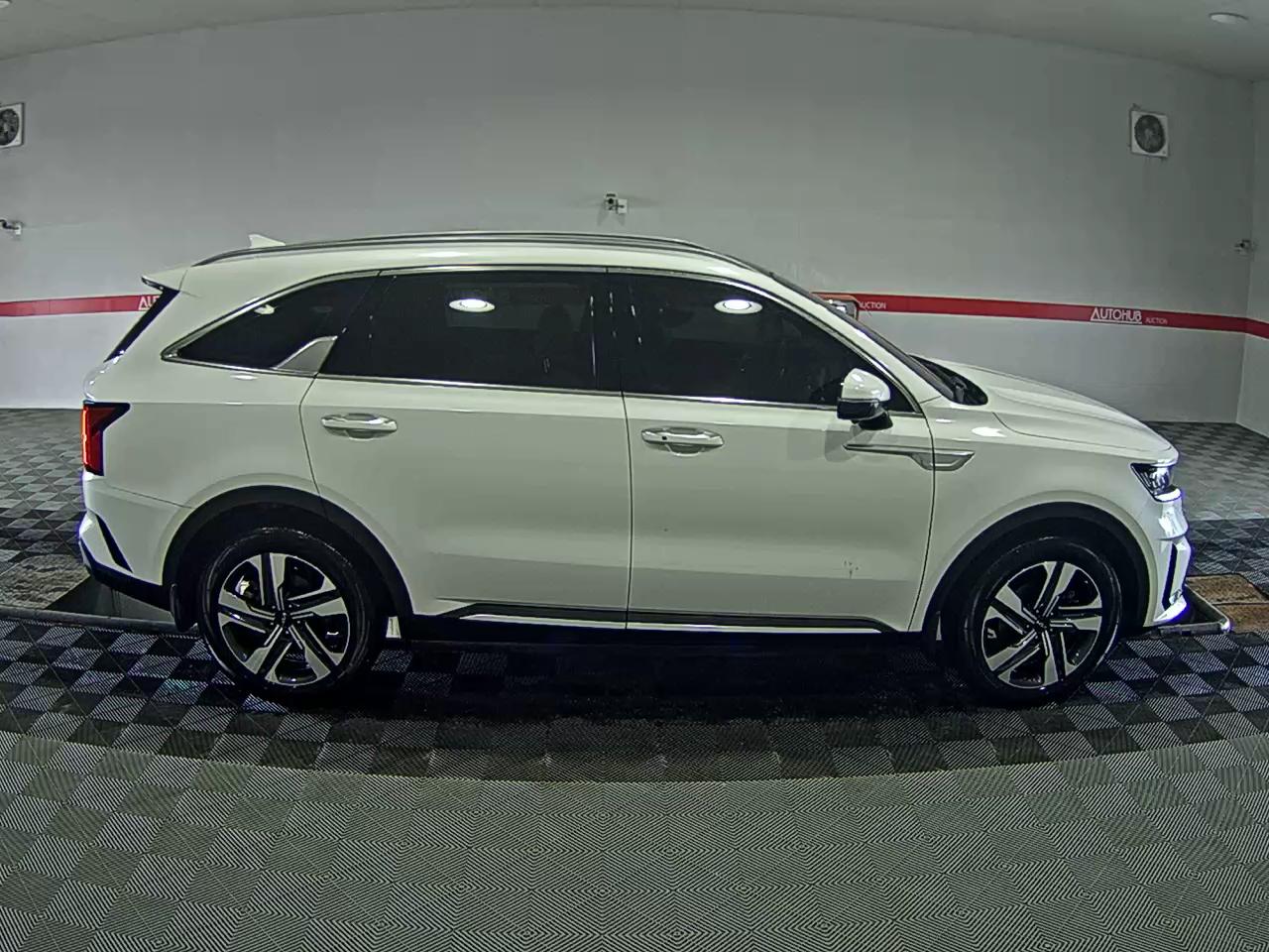 2023 - kia sorento