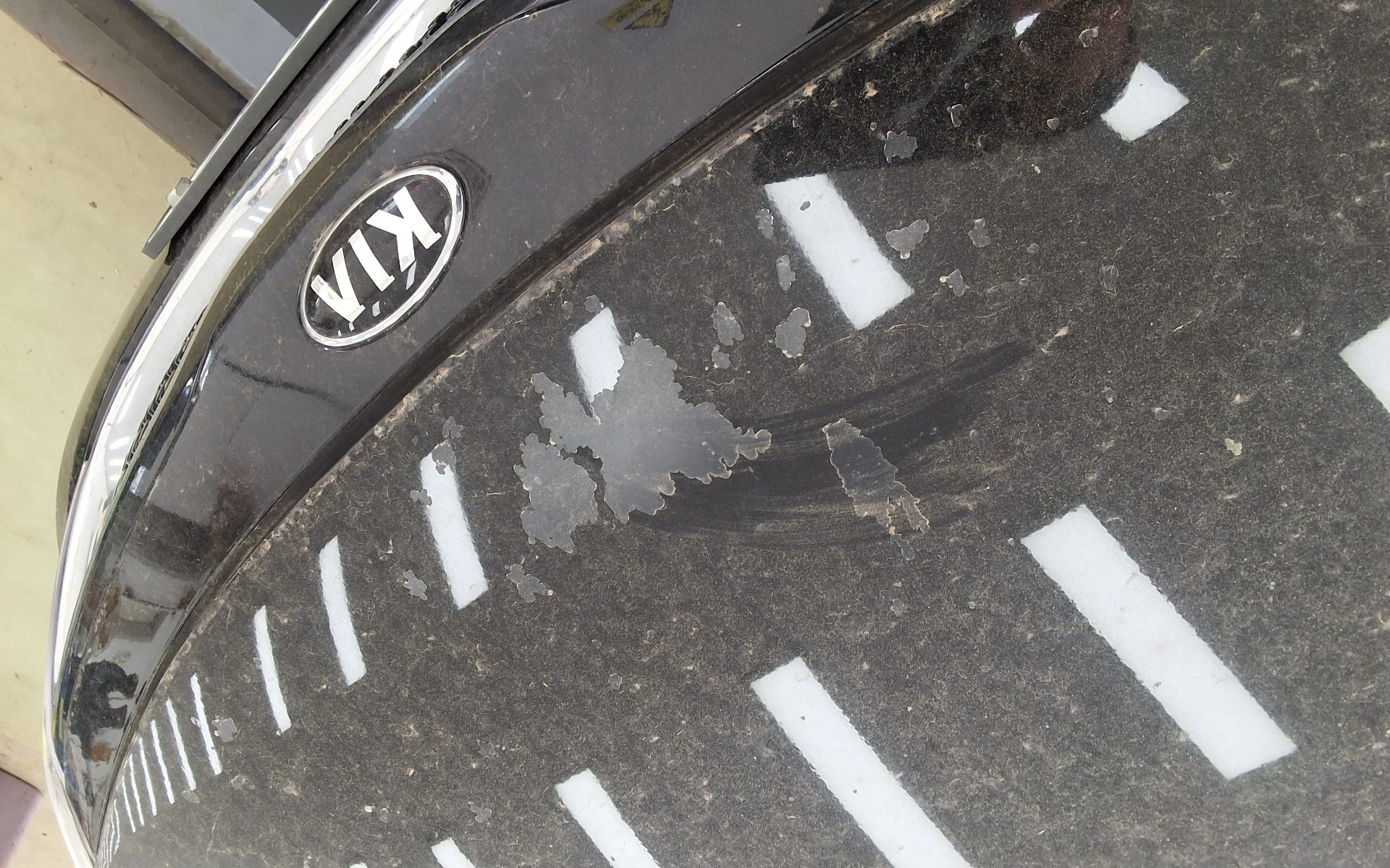 Kia Other 2015 - Image 18