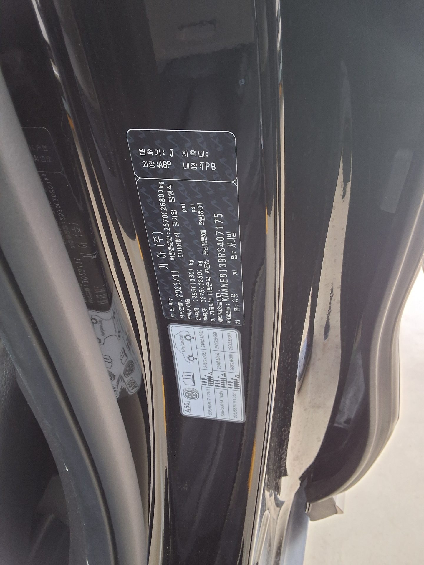 2024 - kia carnival