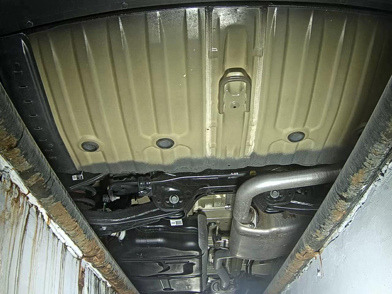 2024 - kia carnival