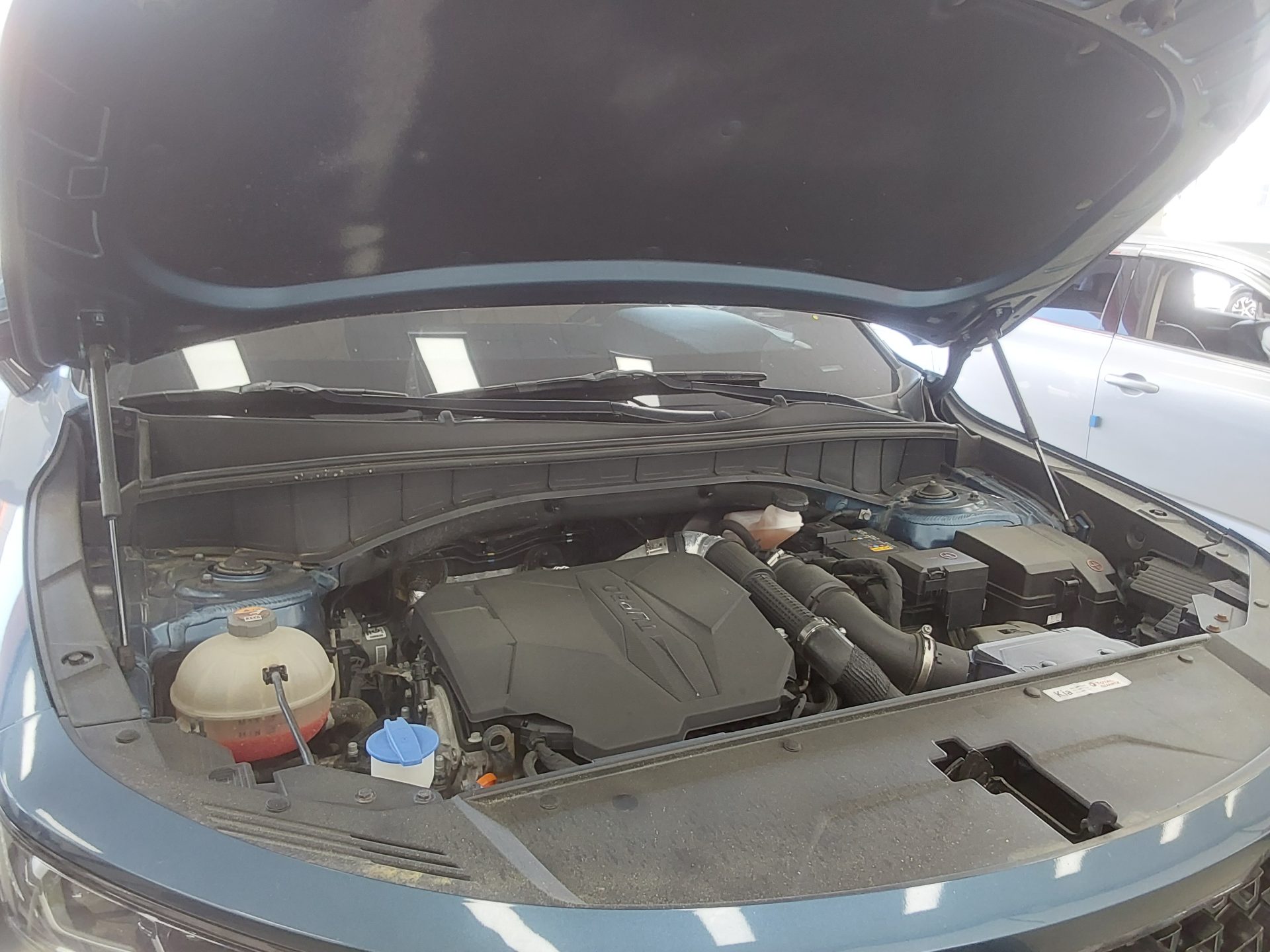 Kia Other 2021 - Image 18