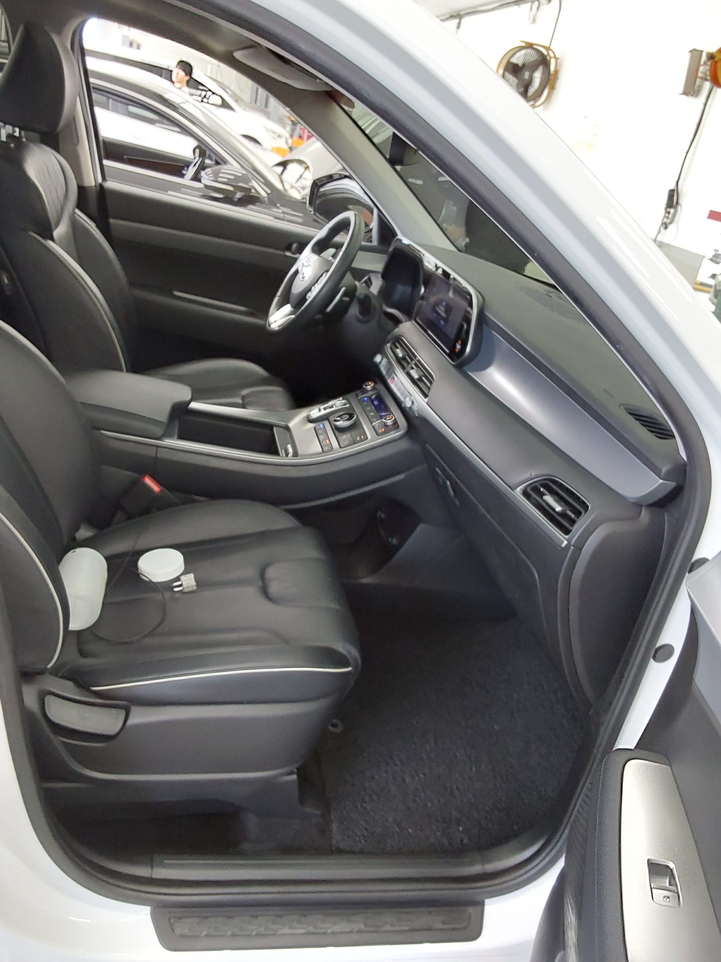 Hyundai Palisade 2019 - Image 13