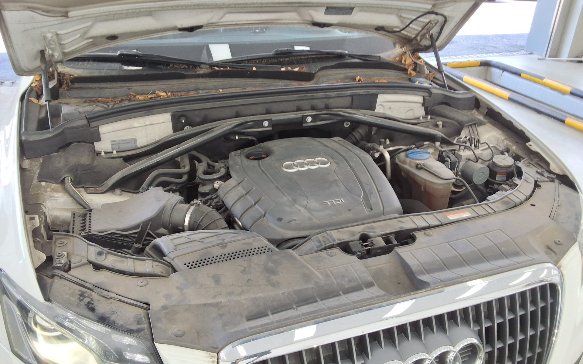 Audi Q5 2012 - Image 19