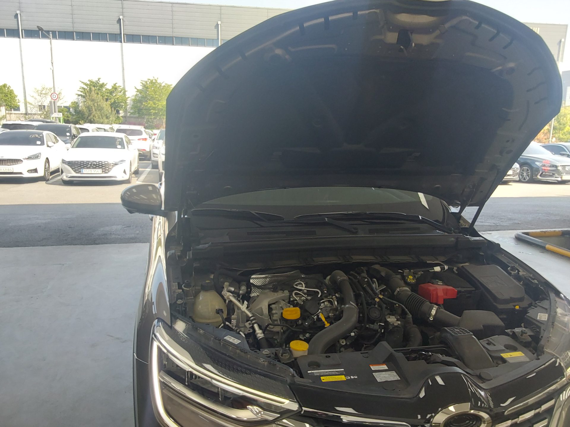 Renault Samsung XM3 - 20