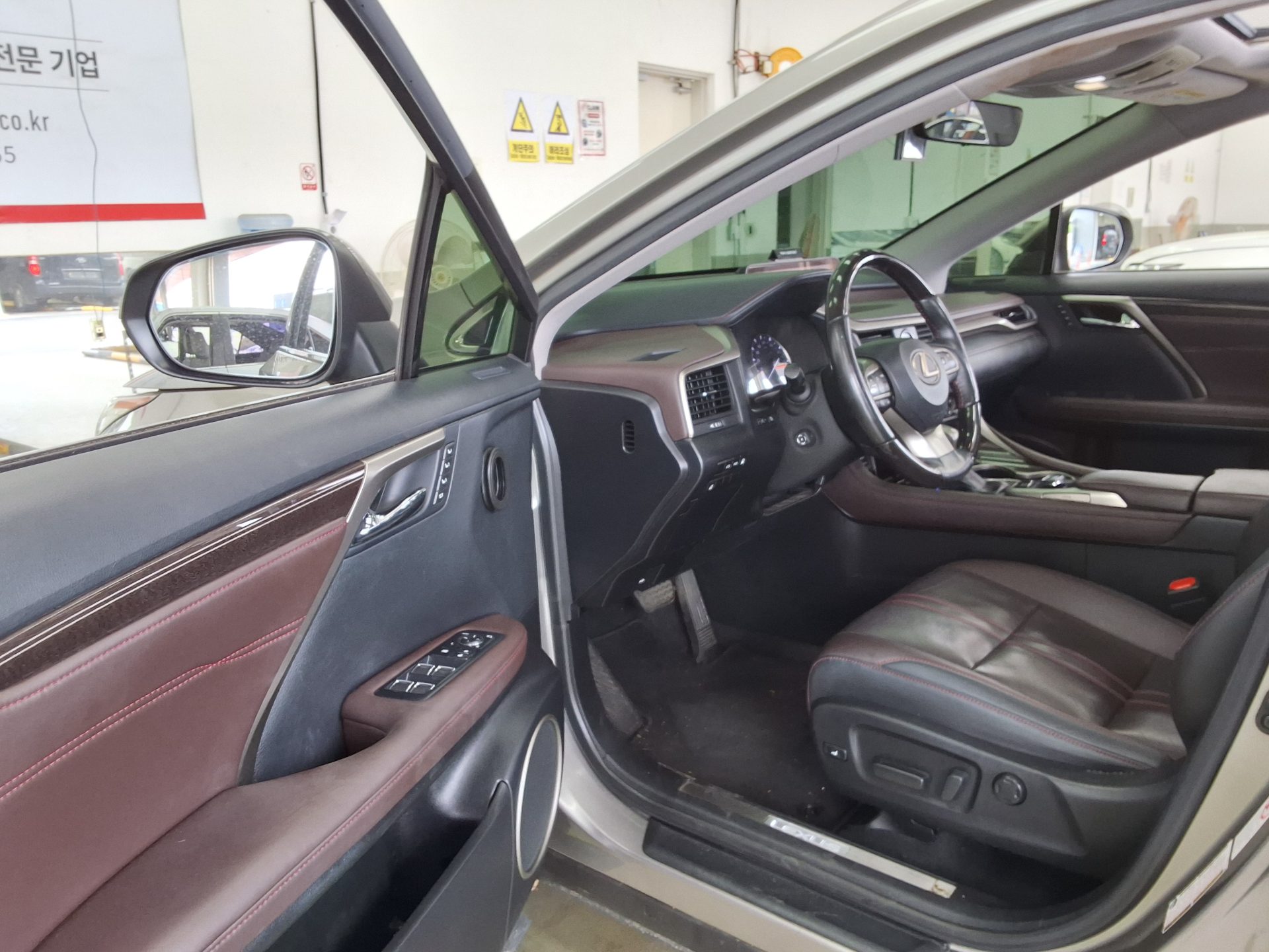 LEXUS RX - 10