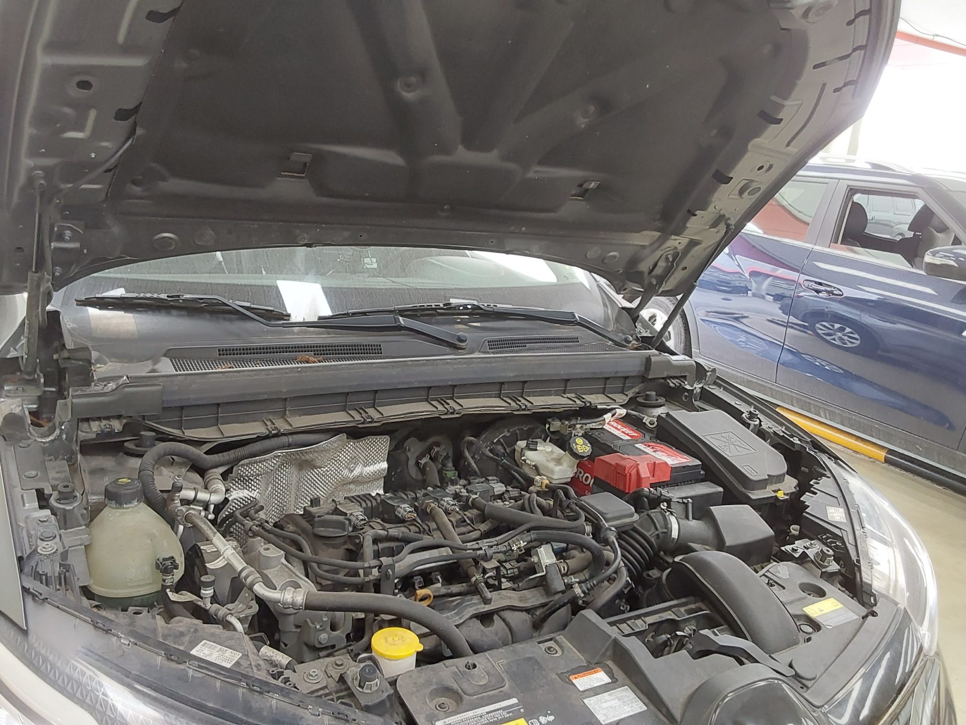 رينو (Samsung) إكس إم 3 1.6 Gte Le 2020 LE