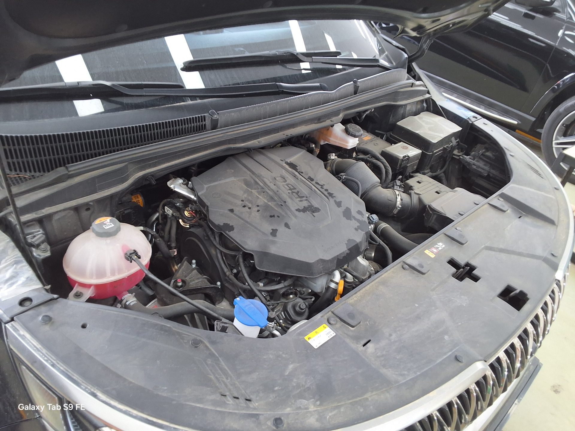 Kia Carnival - 20