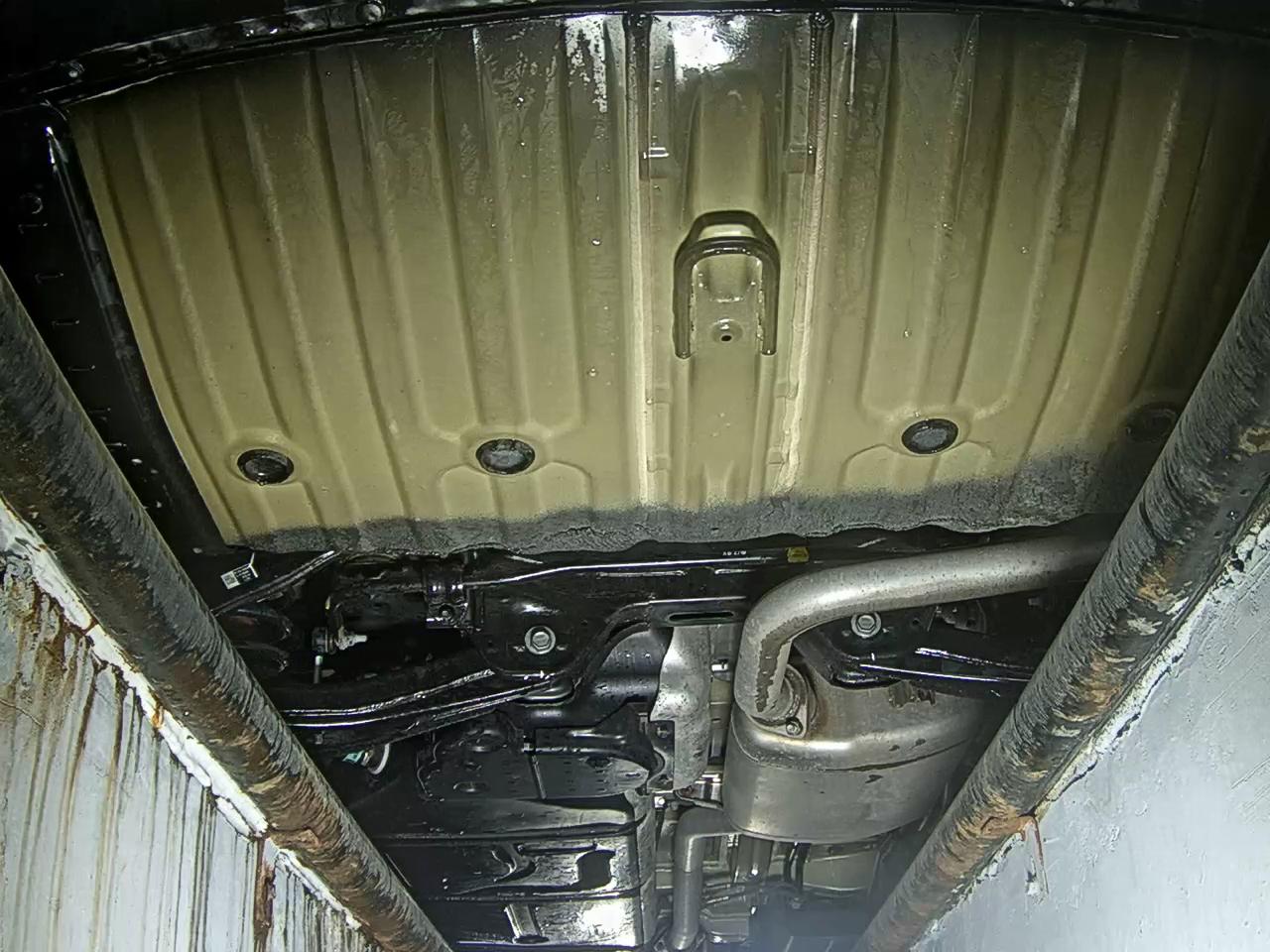 Kia Carnival - 7