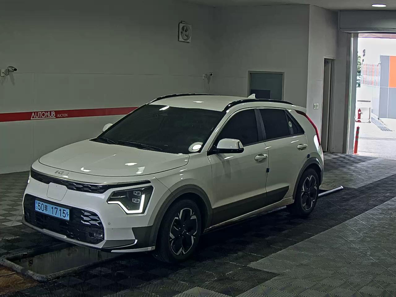 KIA NIRO EARTH