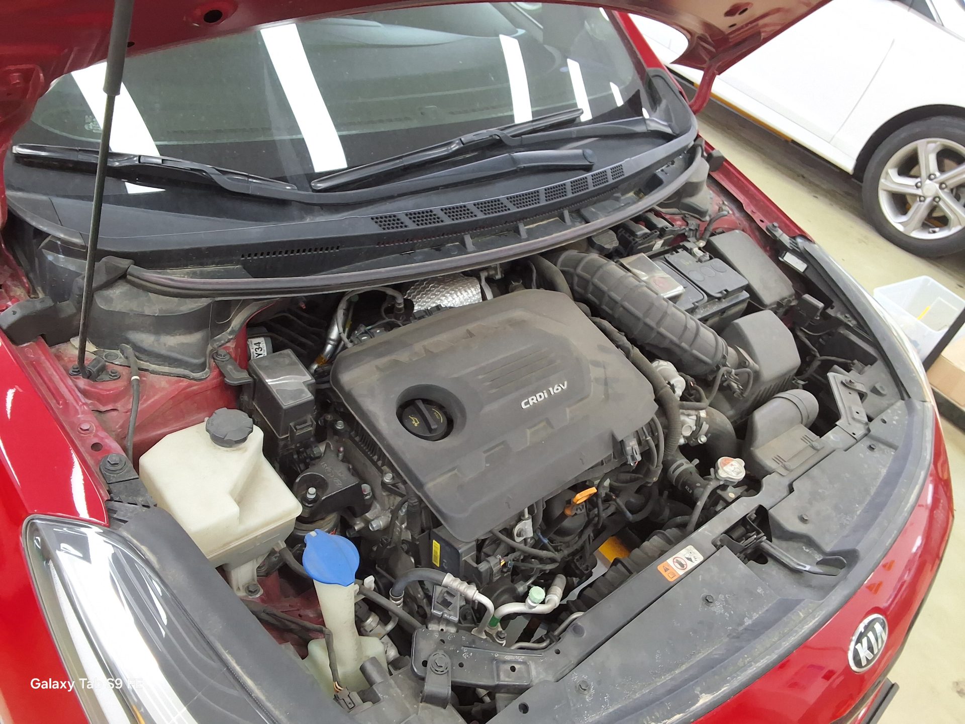 2016 - kia k3