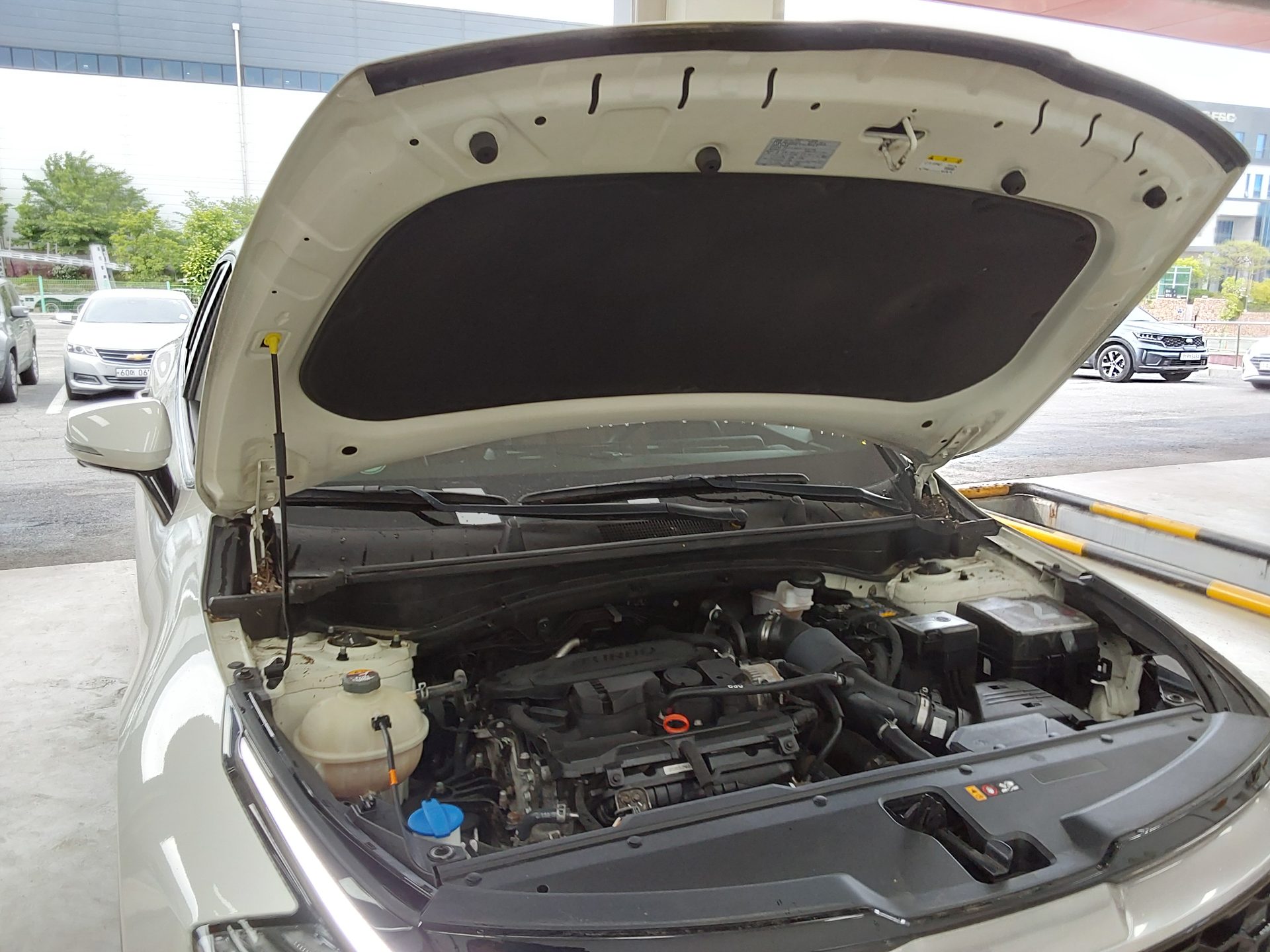 2022 - kia sportage