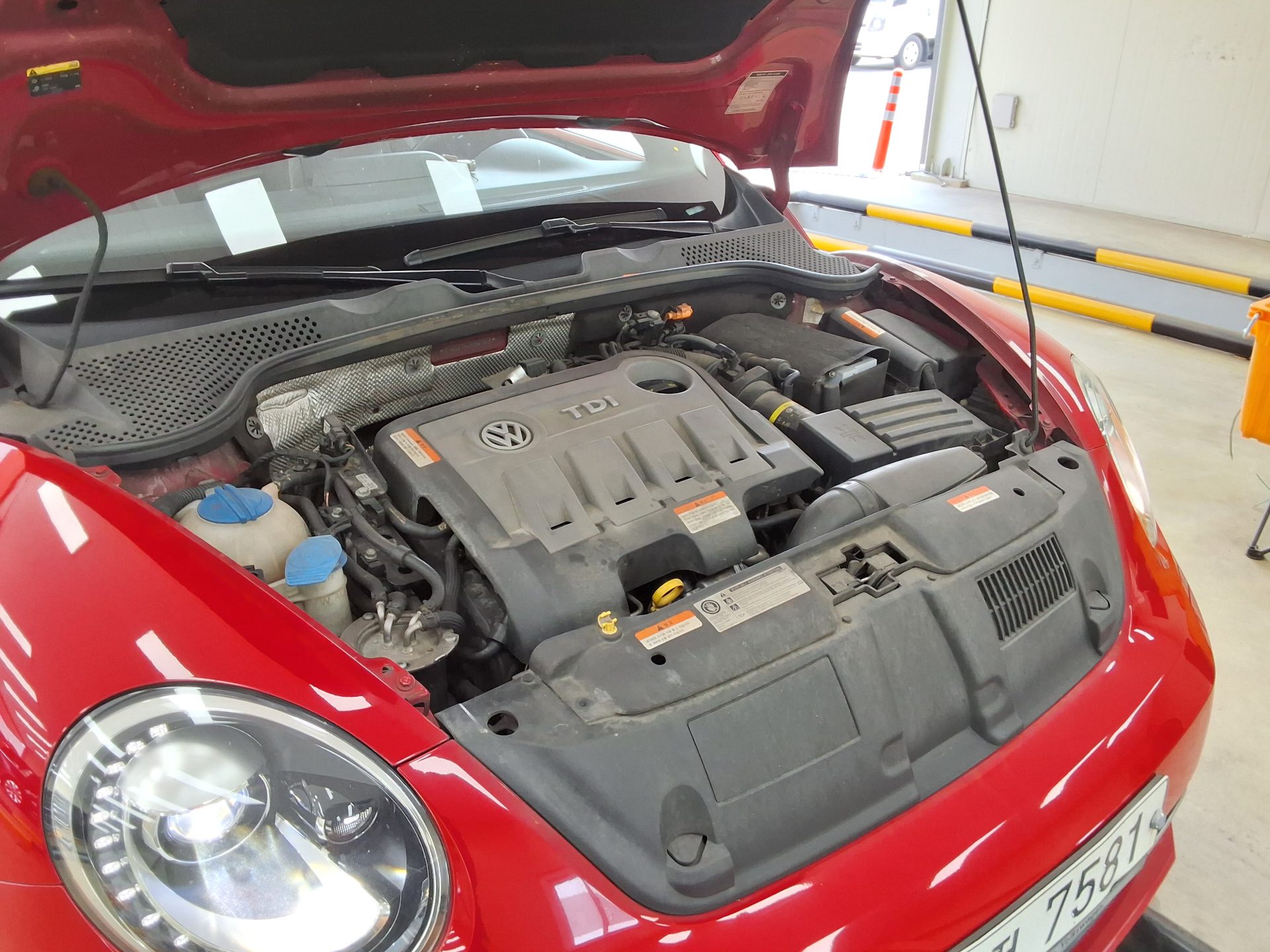 2014 - volkswagen beetle