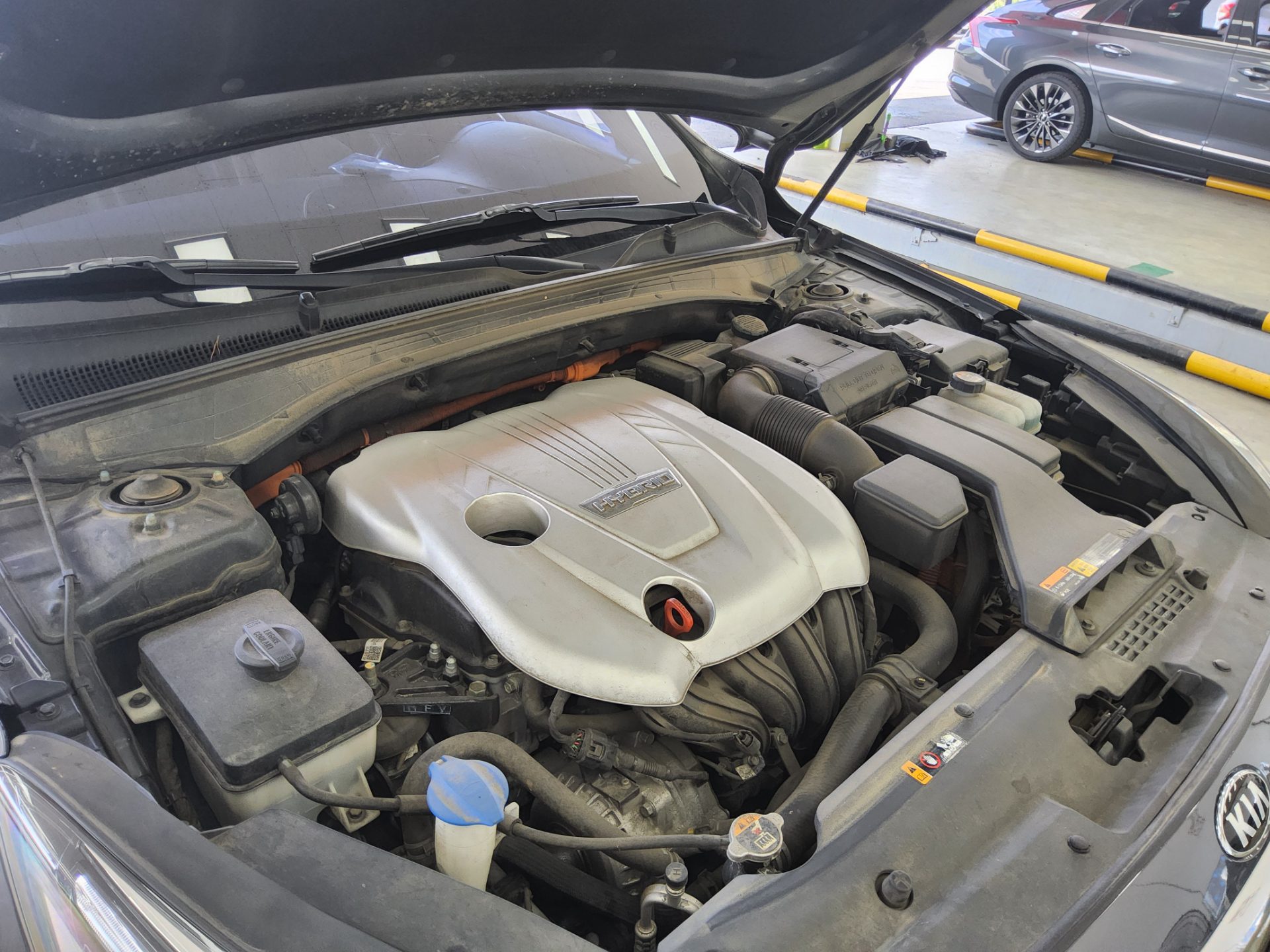 2019 - kia k7