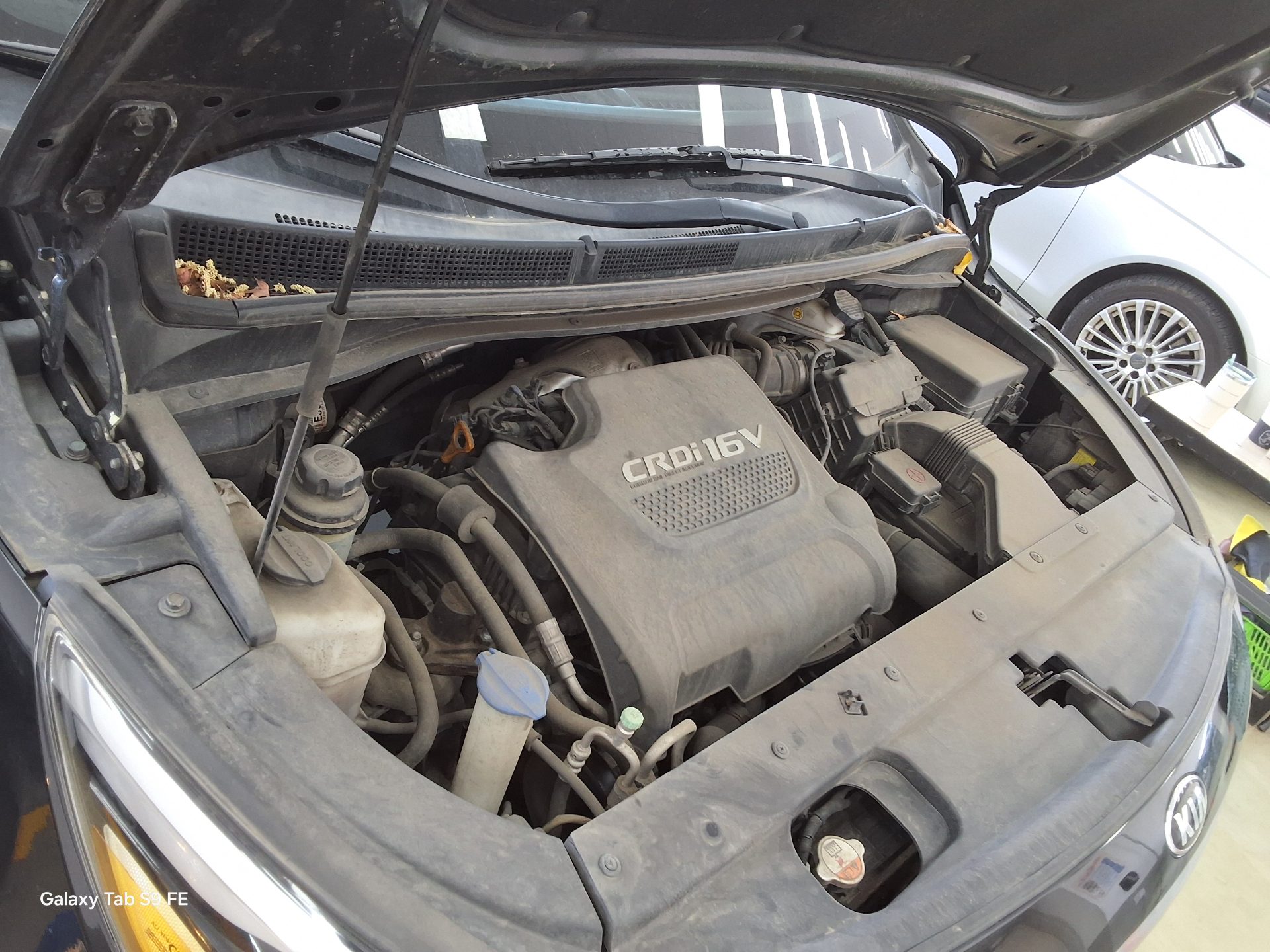 2015 - kia carnival