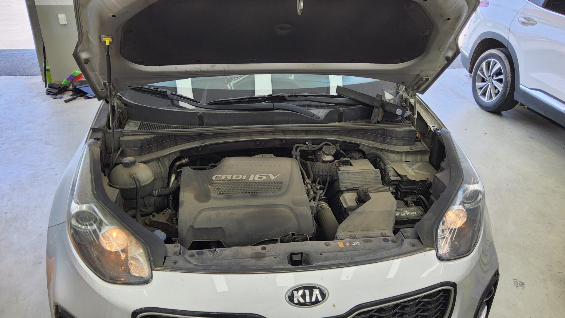 2018 - kia sportage