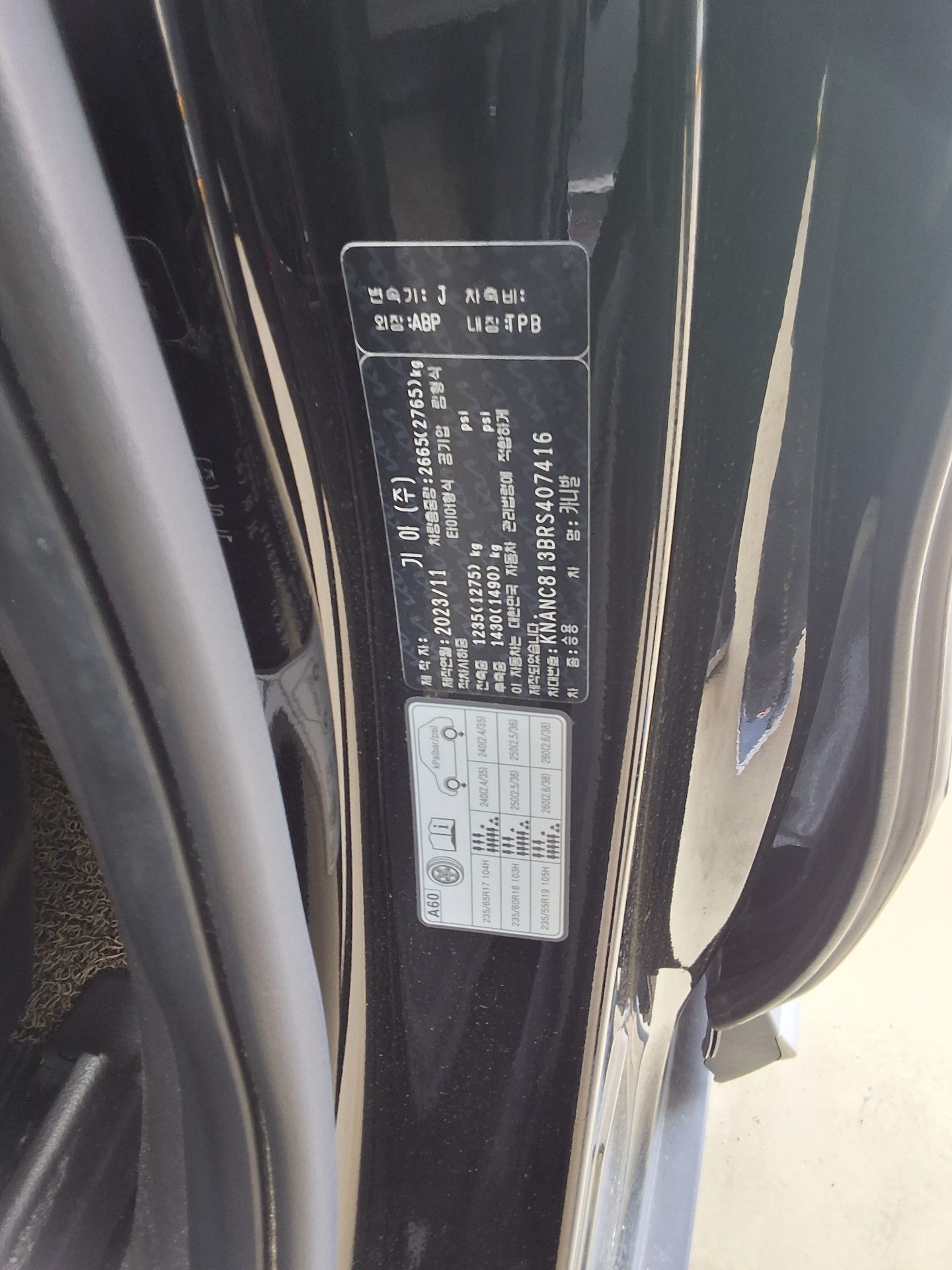 2024 - kia carnival