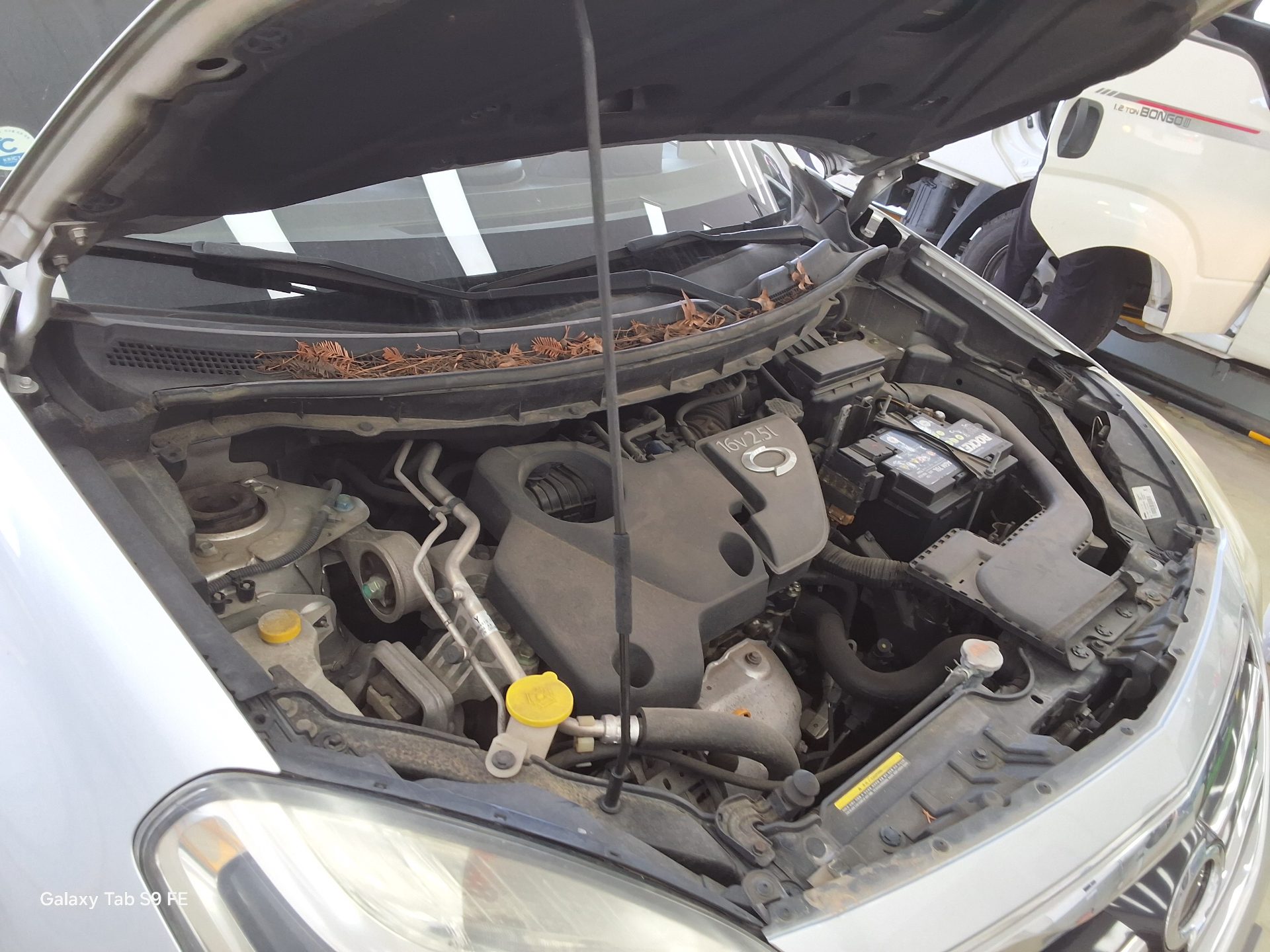 2013 - renault qm5
