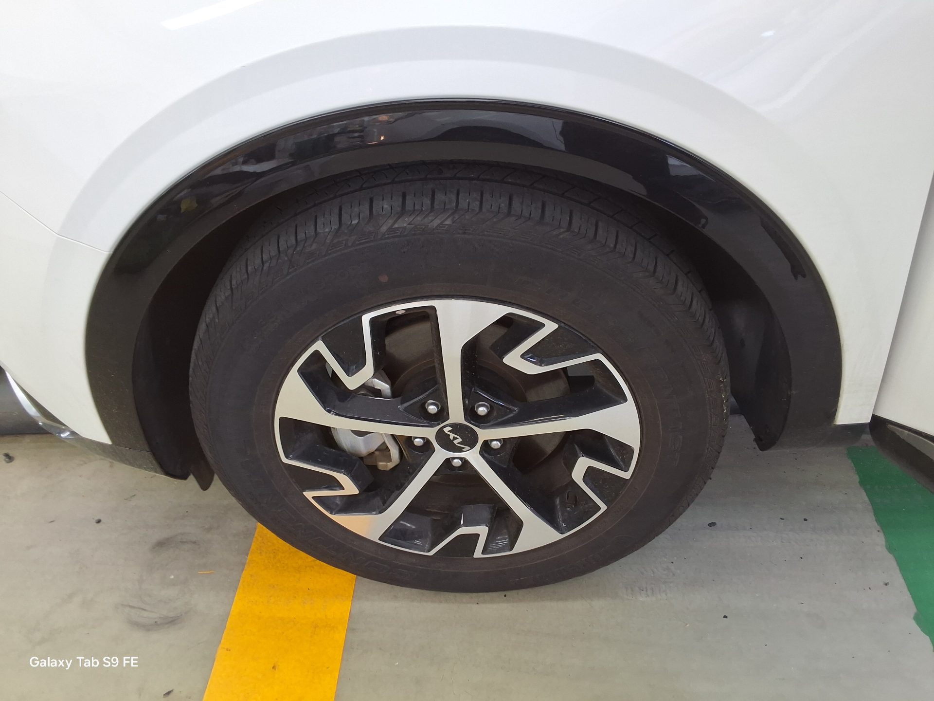 2024 - kia sportage