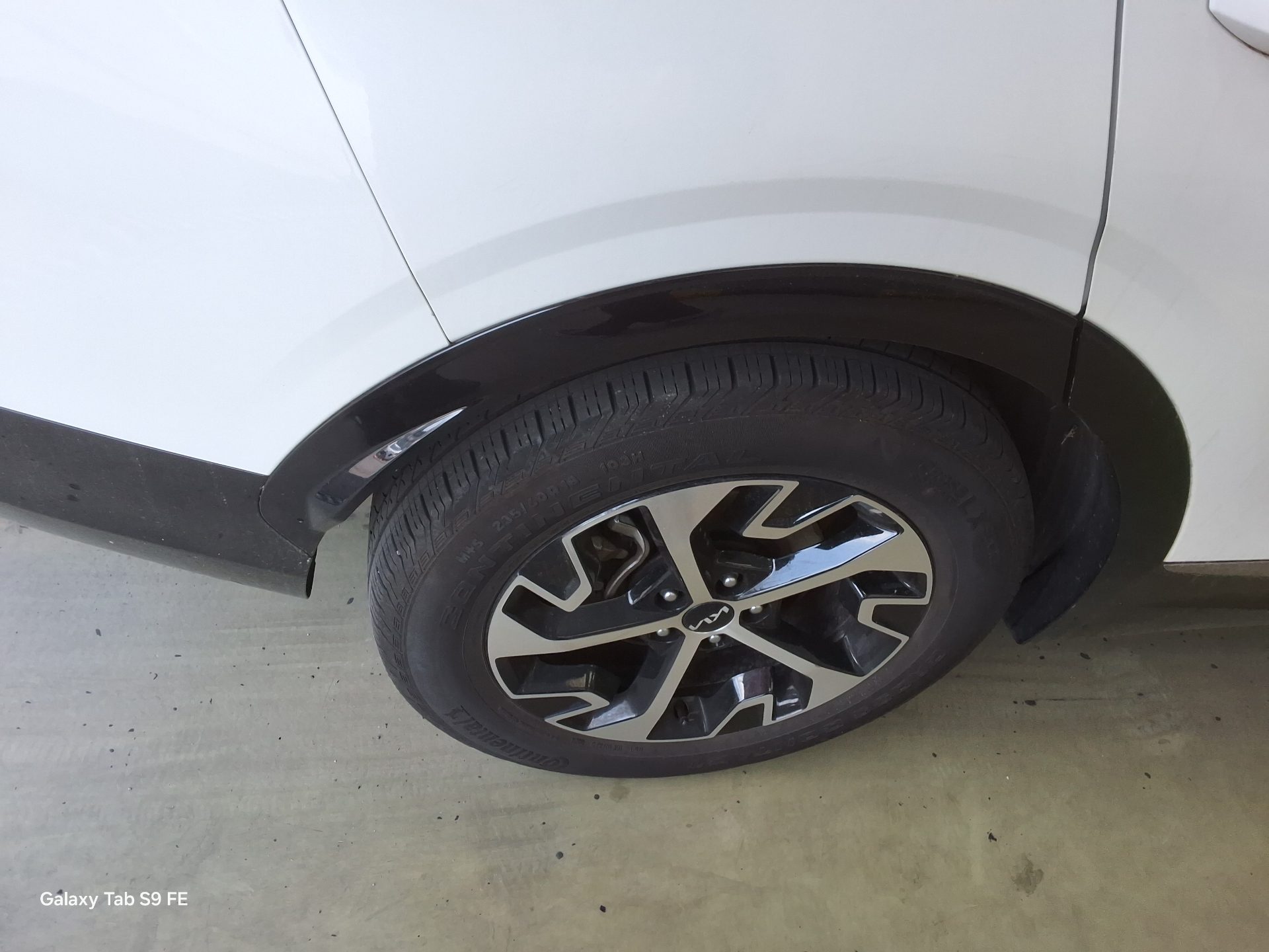 2024 - kia sportage