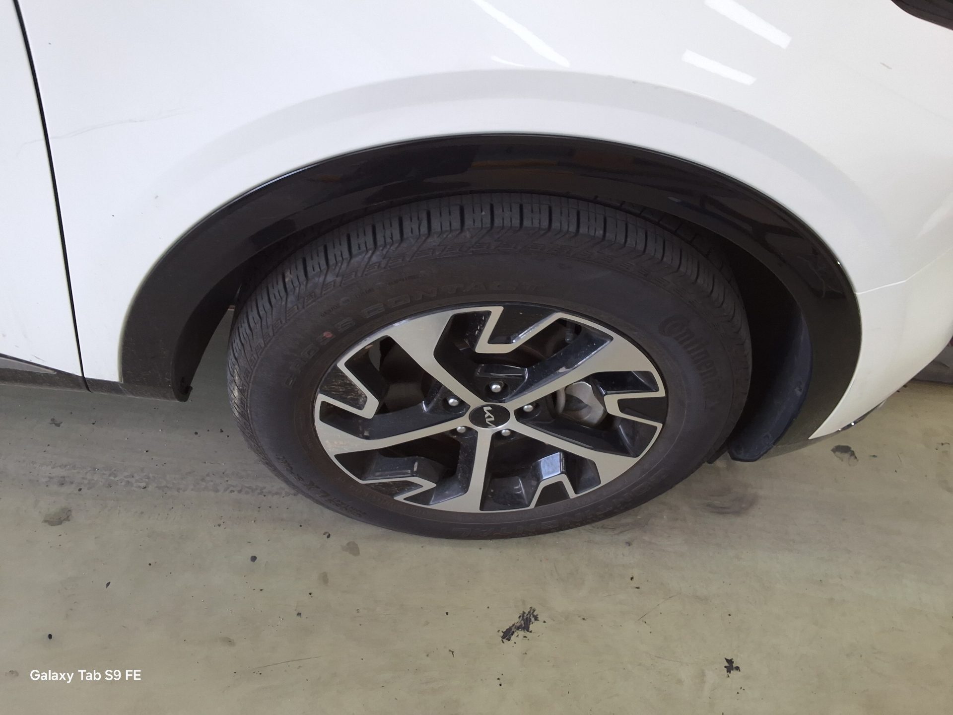 2024 - kia sportage