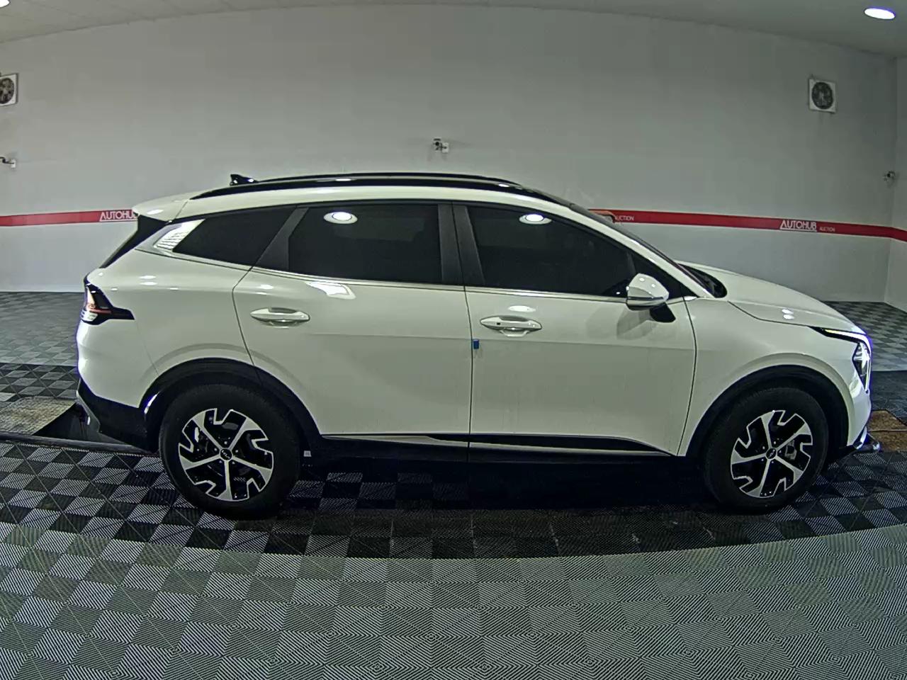 2024 - kia sportage