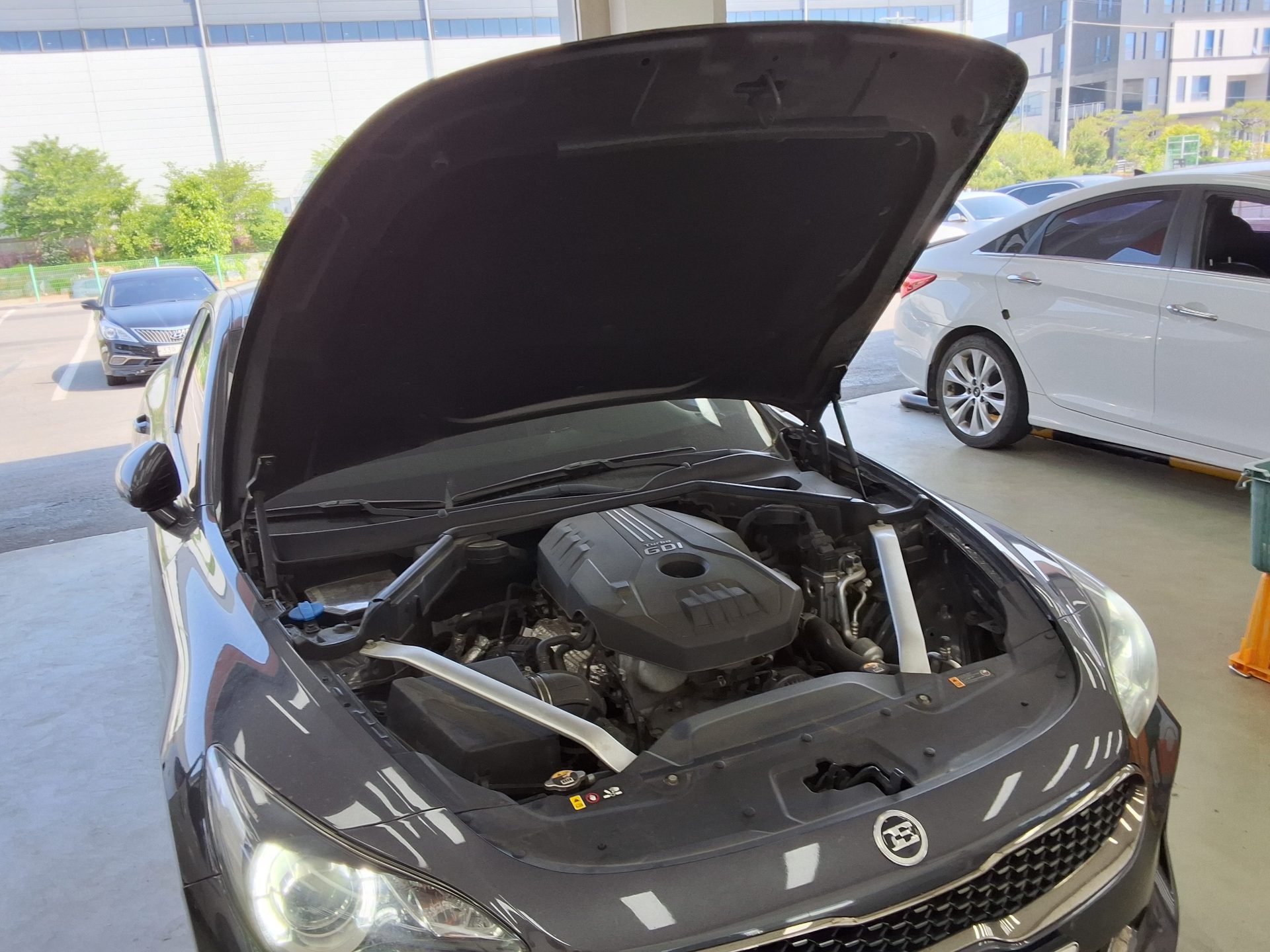 2019 - kia stinger