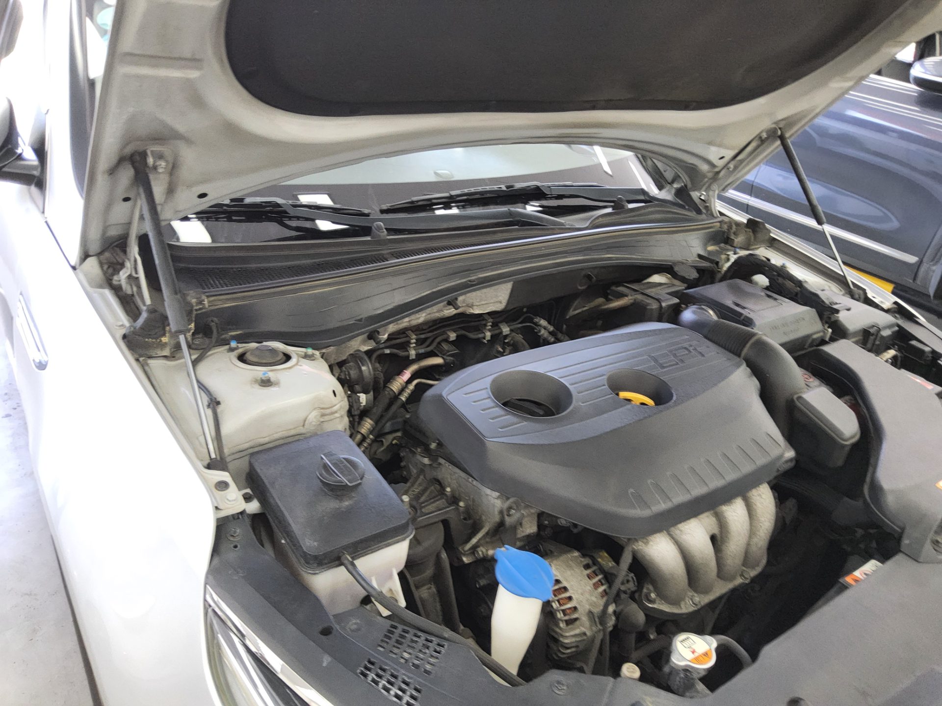 2019 - kia k5
