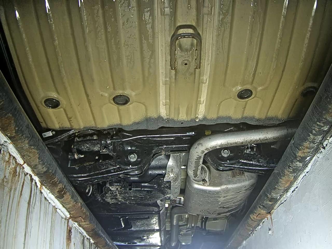 Kia Carnival - 7