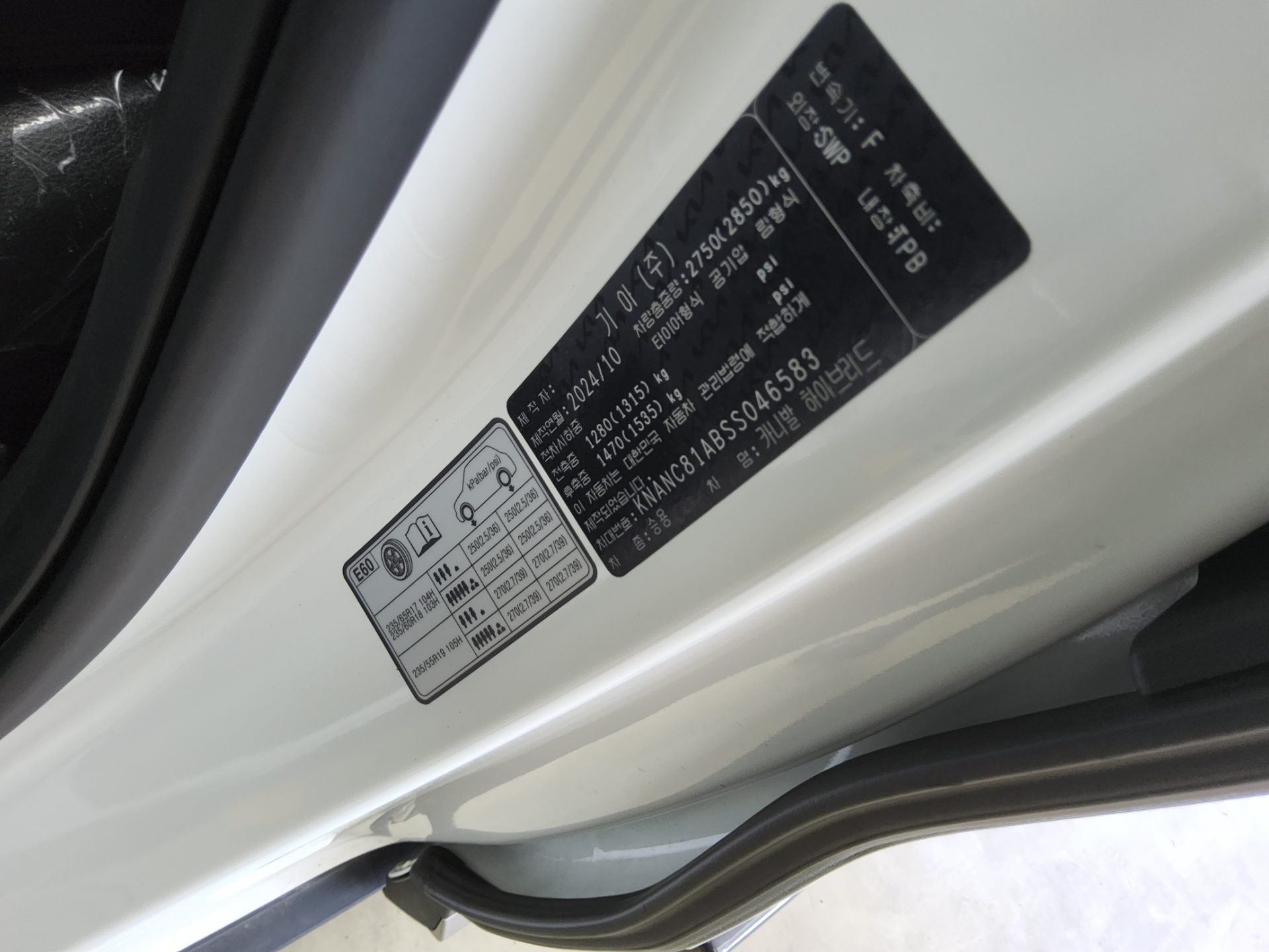 2025 - kia carnival
